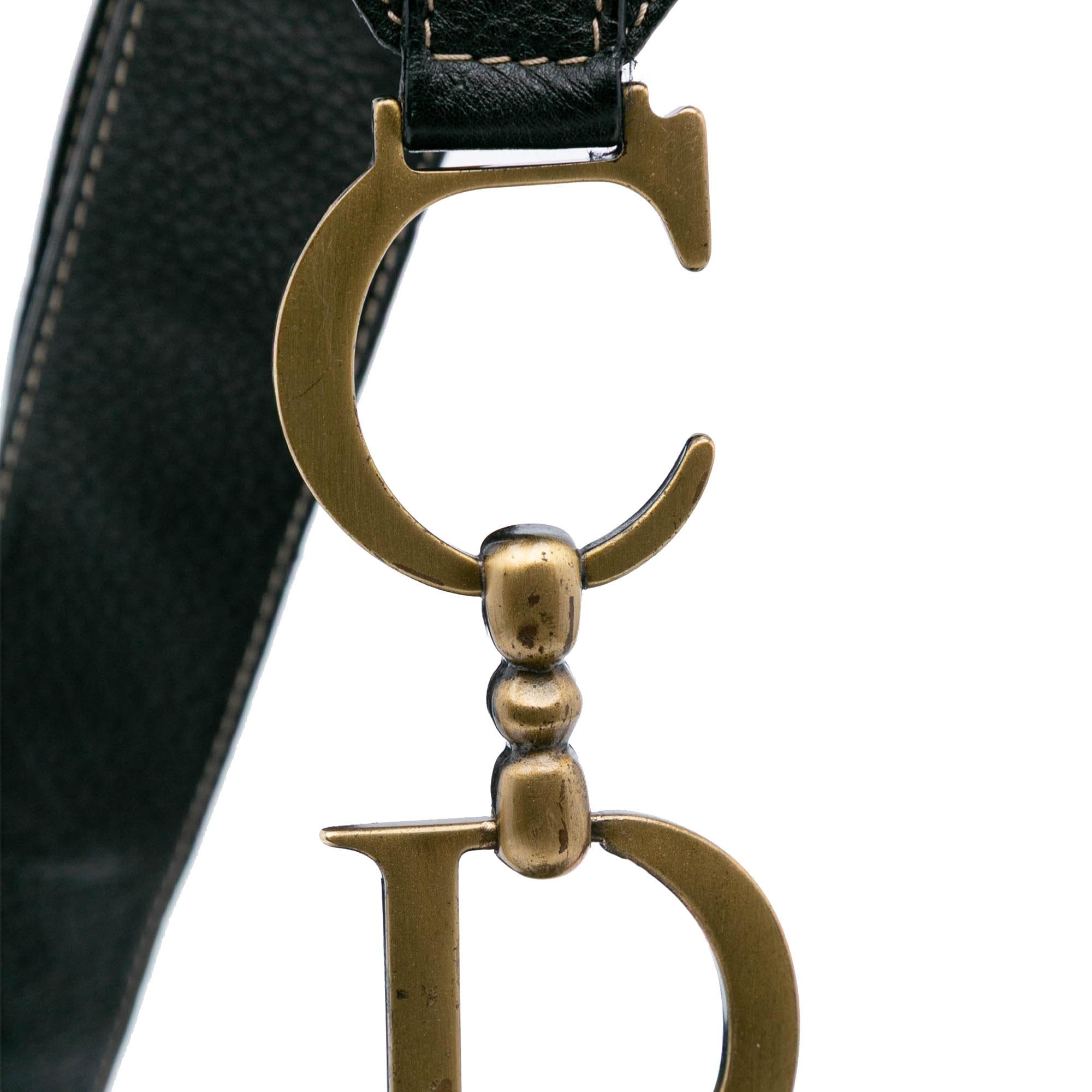 Dior Leather Baudrier Saddle Bag