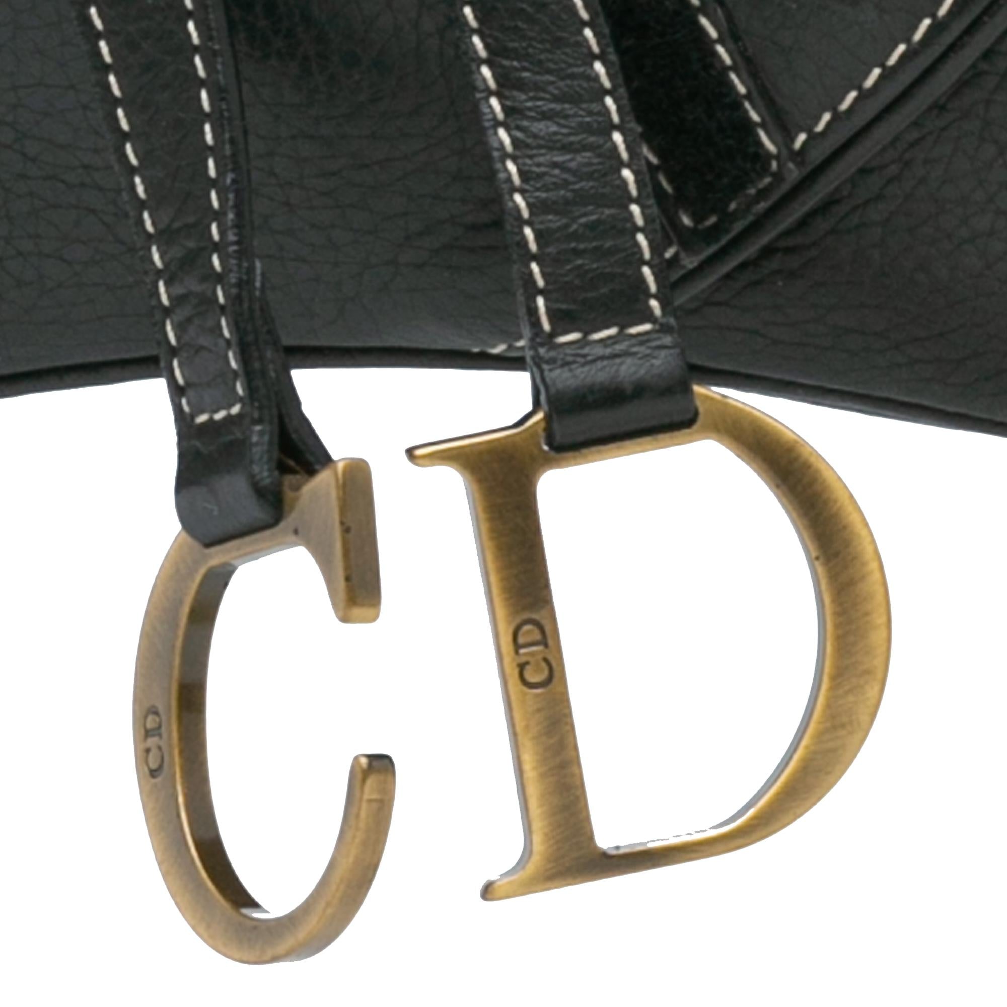 Dior Leather Double Saddle Bag (SHG-OxgLEJ)