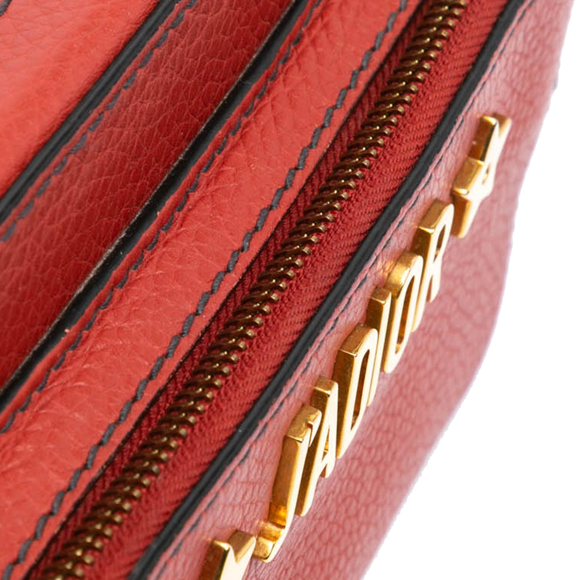 Dior Leather JAdior Camera Bag