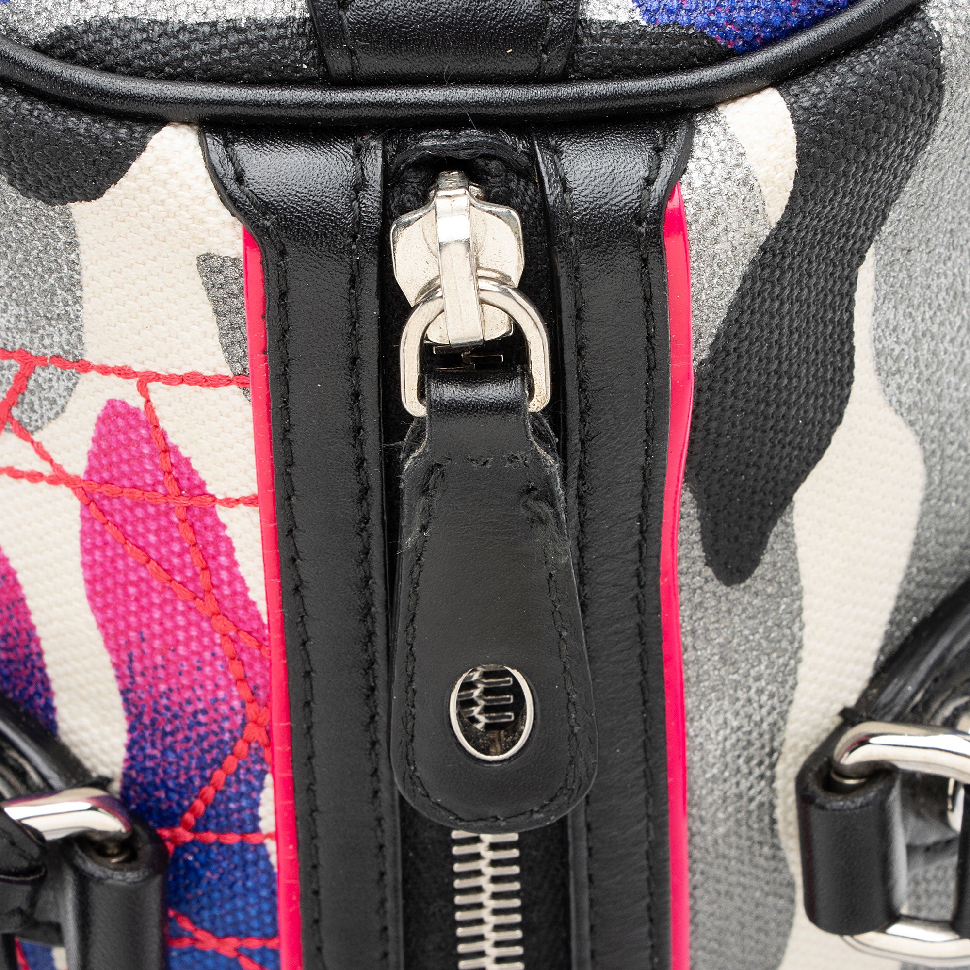 Dior Limited Edition Canvas Anselm Reyle Polochon Satchel