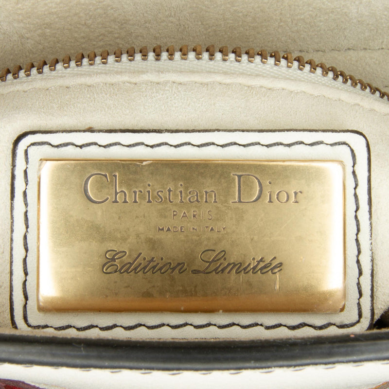 Dior Limited Edition Mini Lady DiorAmour Lady Dior (SHG-iRPRHb)