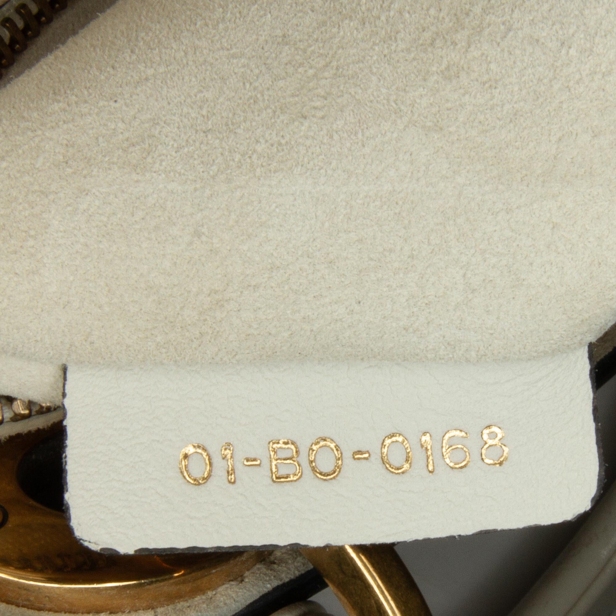 Dior Limited Edition Mini Lady DiorAmour Lady Dior (SHG-iRPRHb)