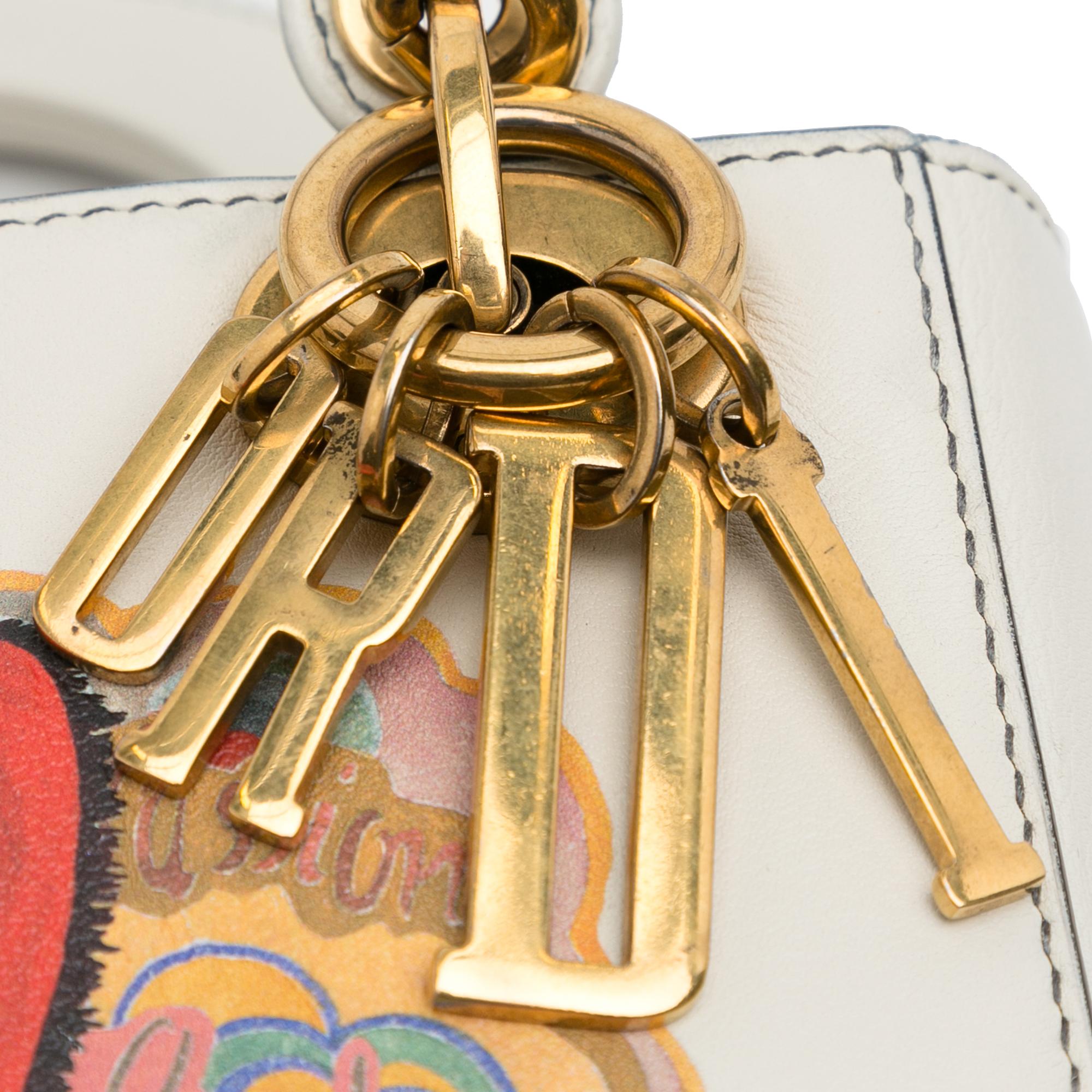 Dior Limited Edition Mini Lady DiorAmour Lady Dior (SHG-iRPRHb)