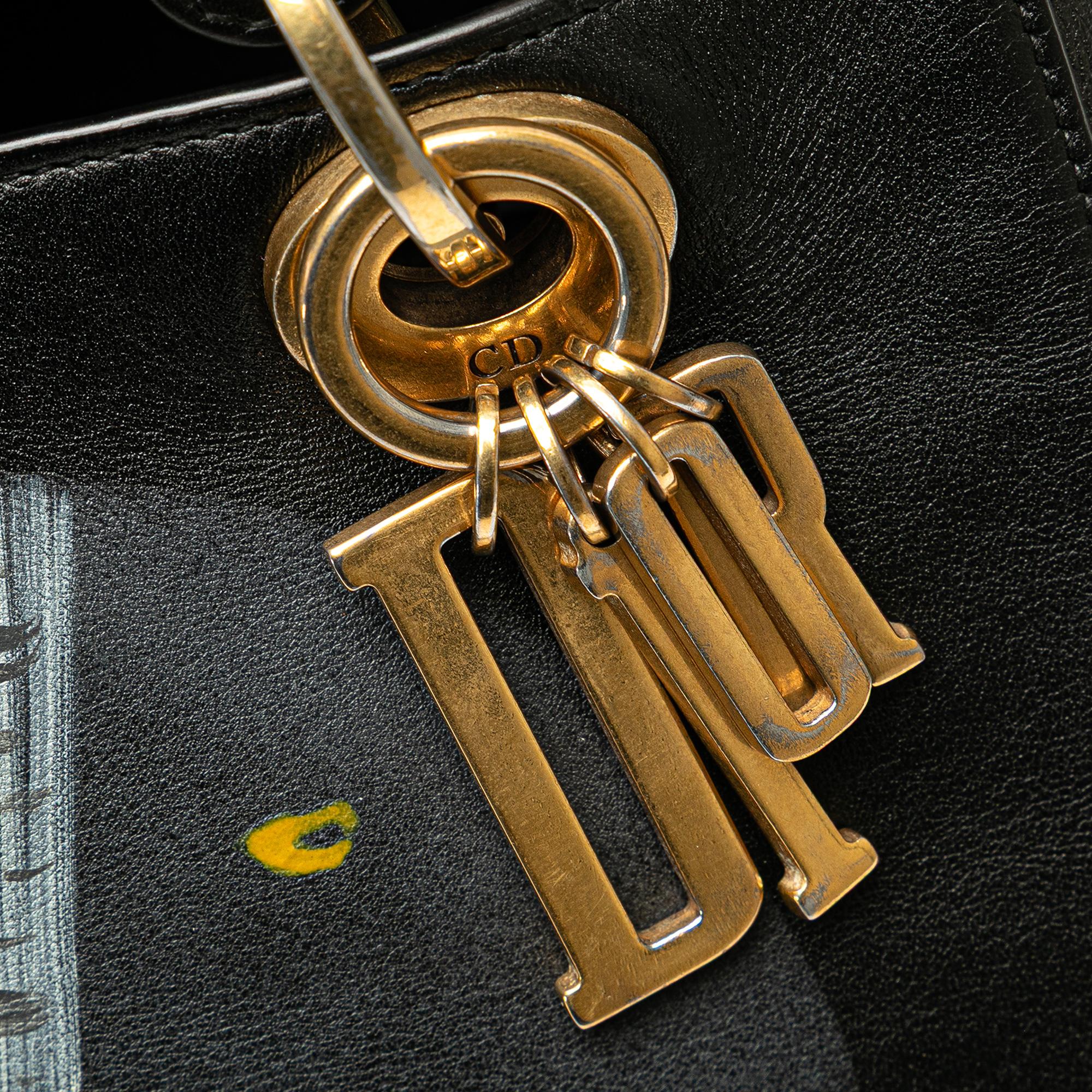 Dior Medium Calfskin Death Tarot Card Lady Dior