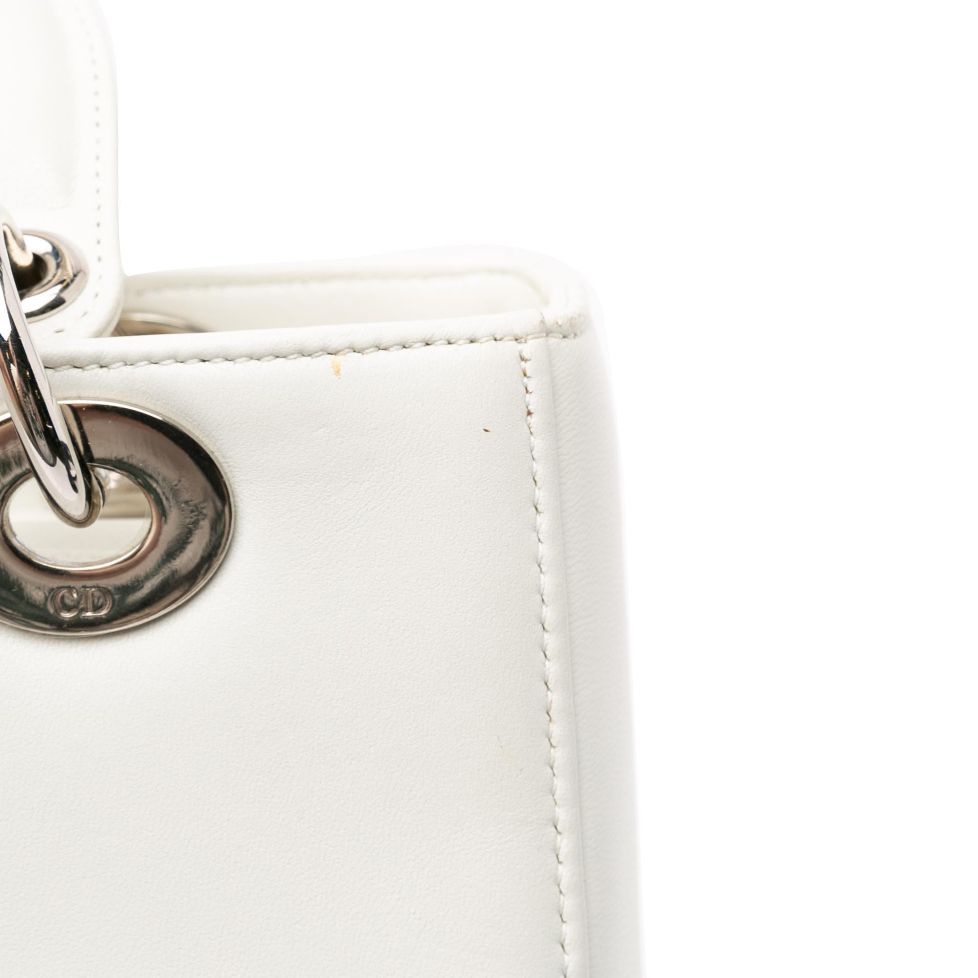 Dior Medium Calfskin Dragonfly Embellished Lady Dior (SHG-XVLoP4)