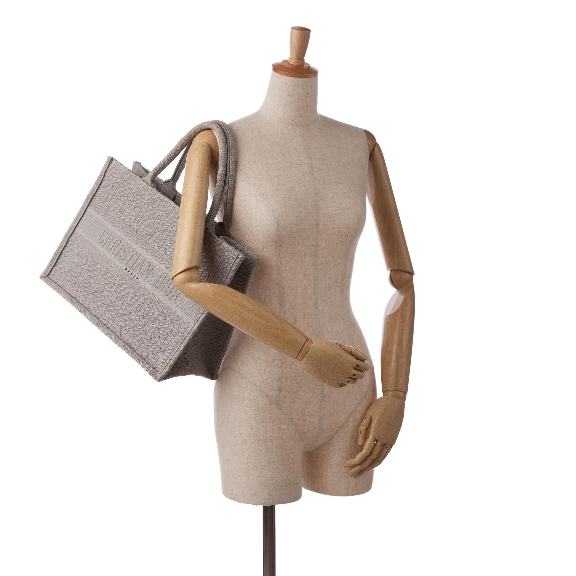 Dior Medium Cannage Embroidered Book Tote (SHG-8YiPXv)