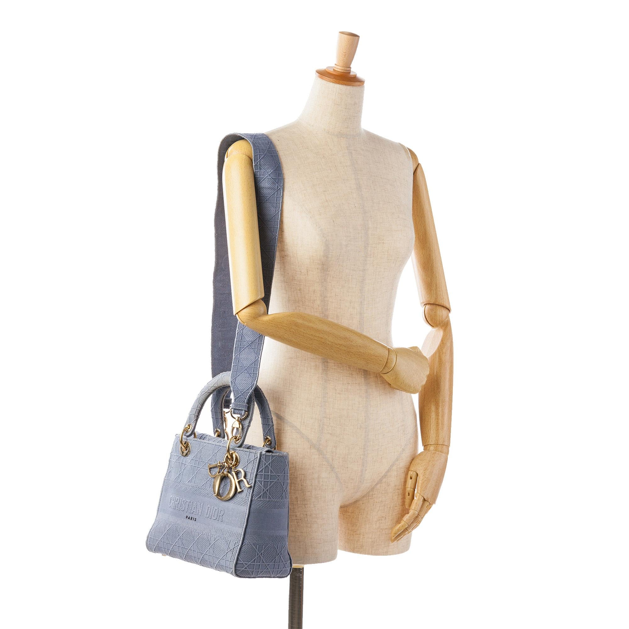 Dior Medium Cannage Lady D-Lite (SHG-eP9U1n)