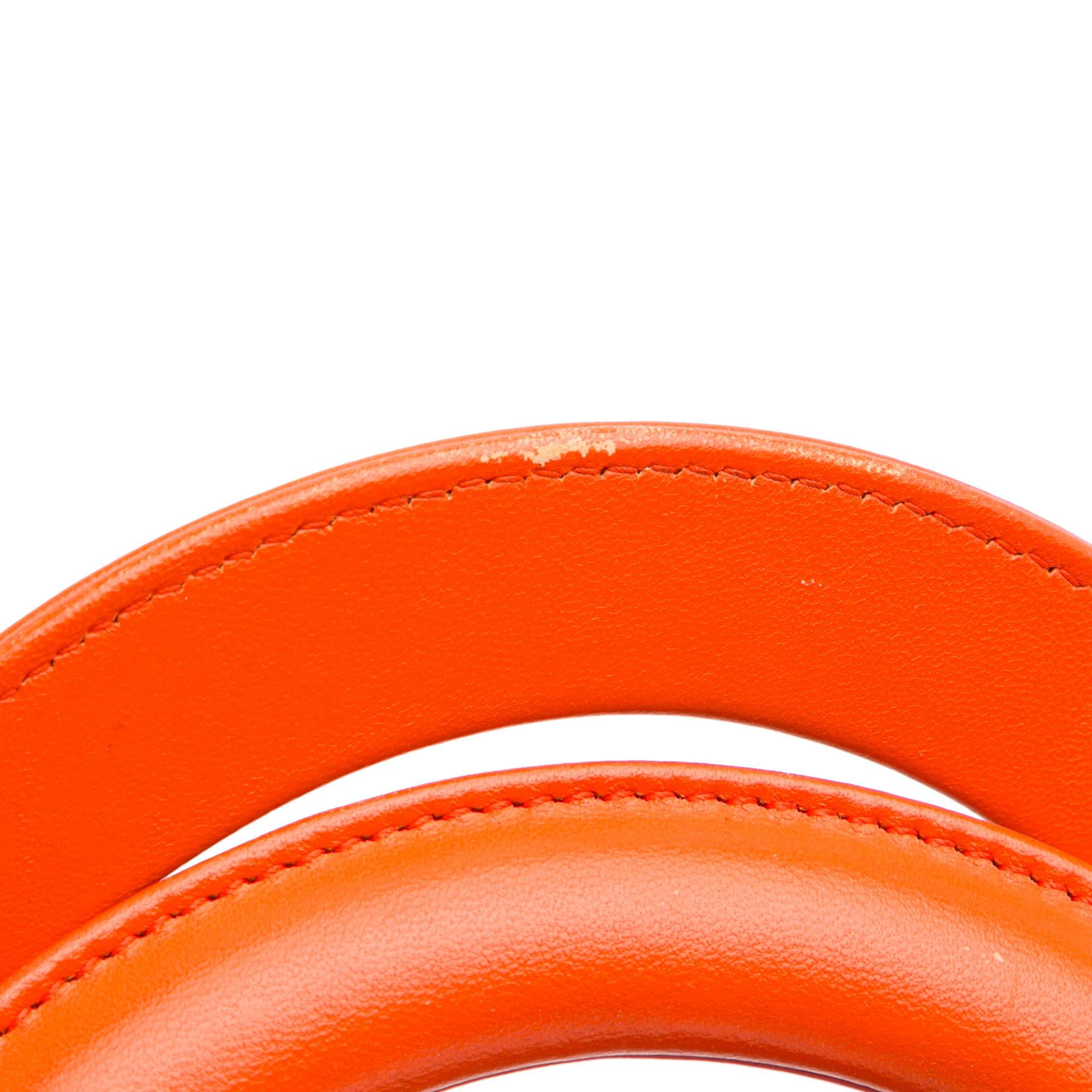 Dior Medium Cannage Lady Dior Tricolor (SHG-e3O6dL)