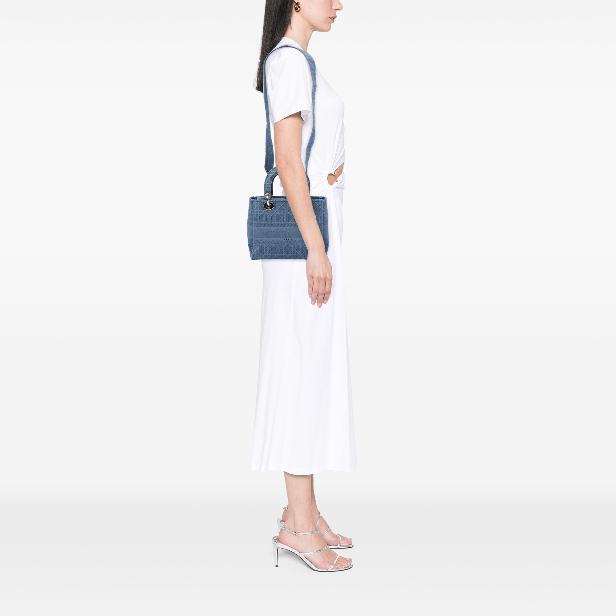 Dior Medium Canvas Cannage Lady D Lite