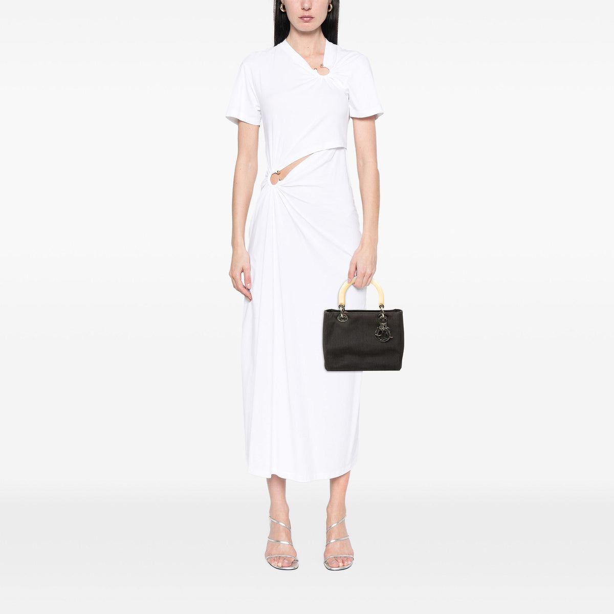 Dior Medium Canvas Lady Dior