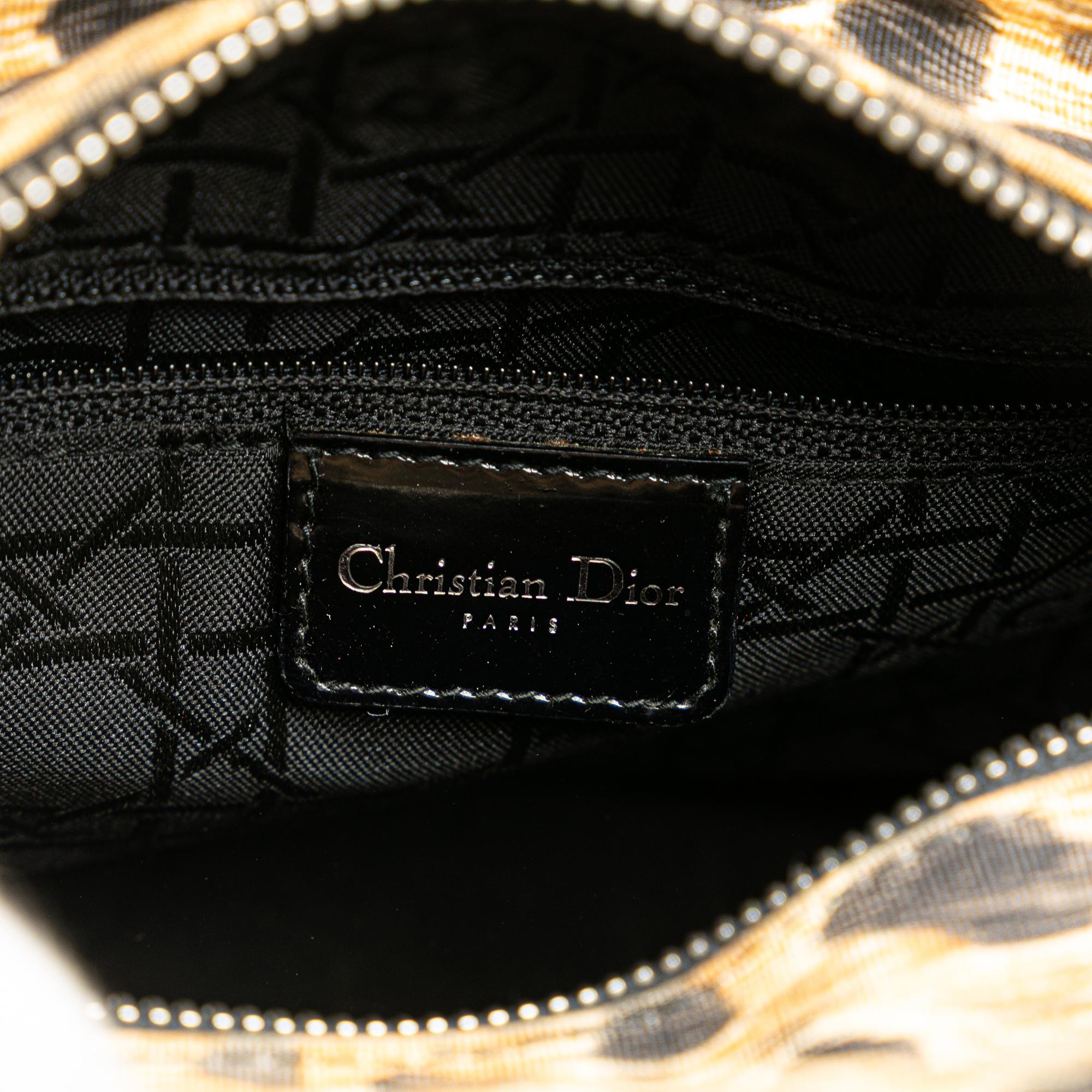Dior Medium Canvas Leopard Print Lady Dior