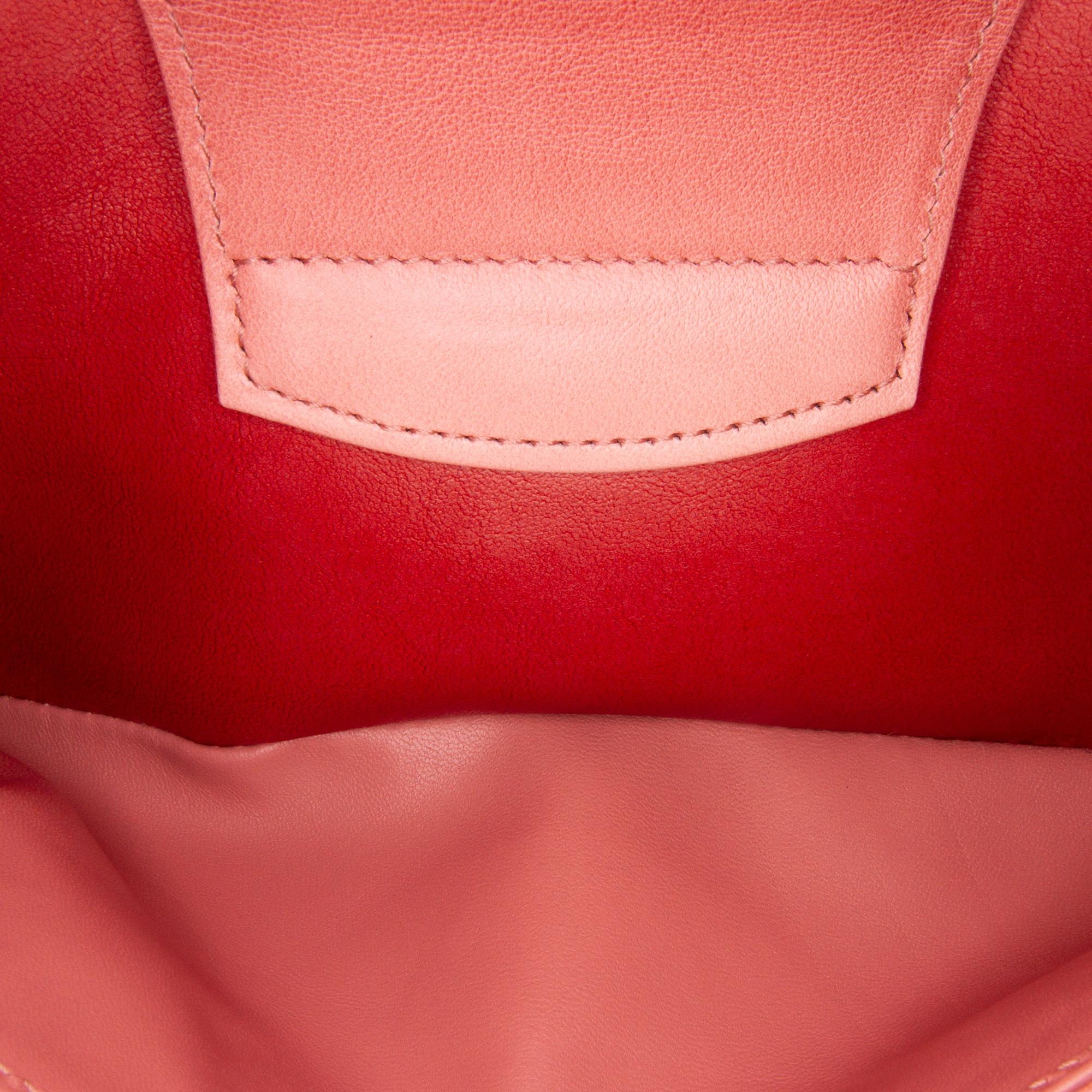 Dior Medium DiorDouble Bag