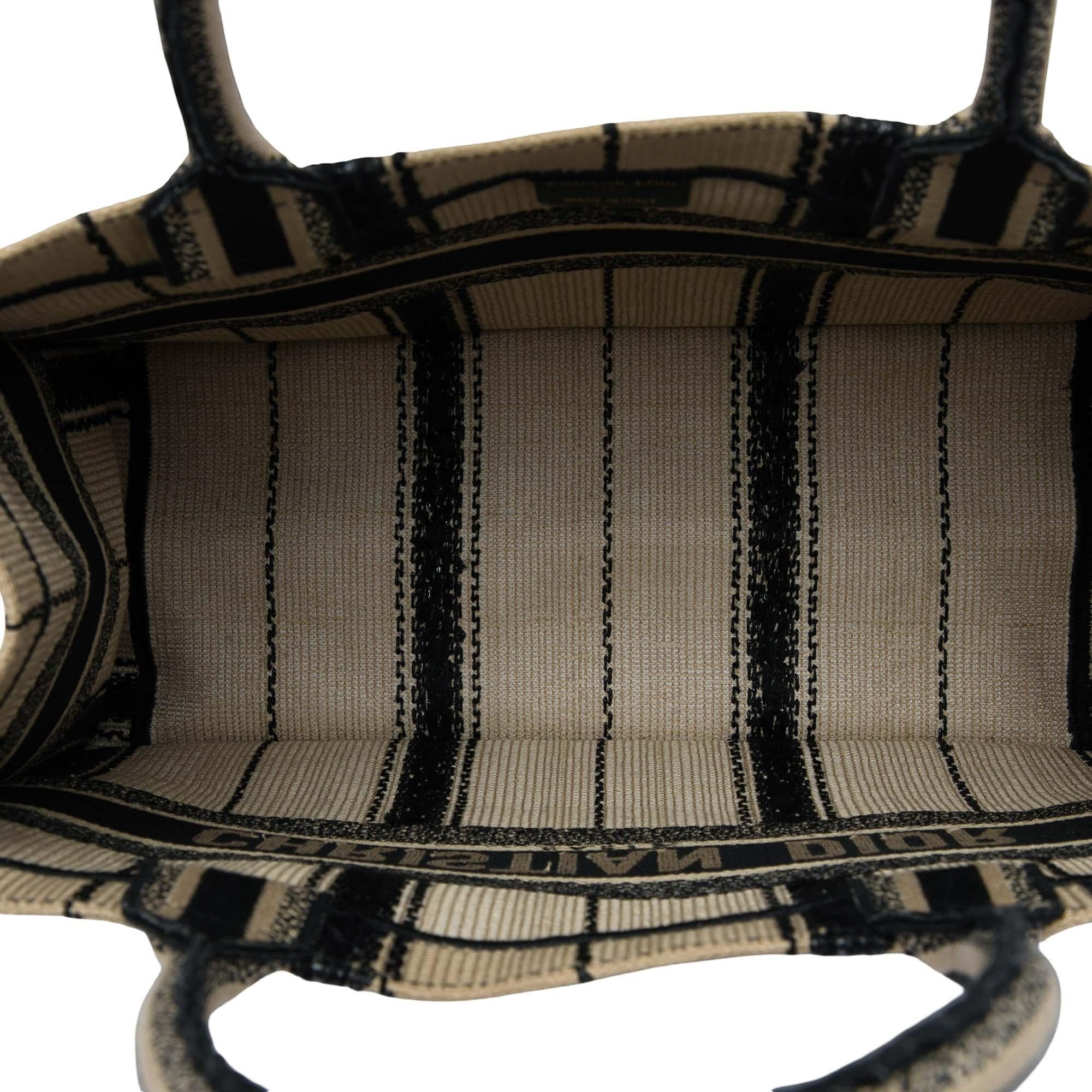 Dior Medium Embroidered Canvas Bayadere Book Tote