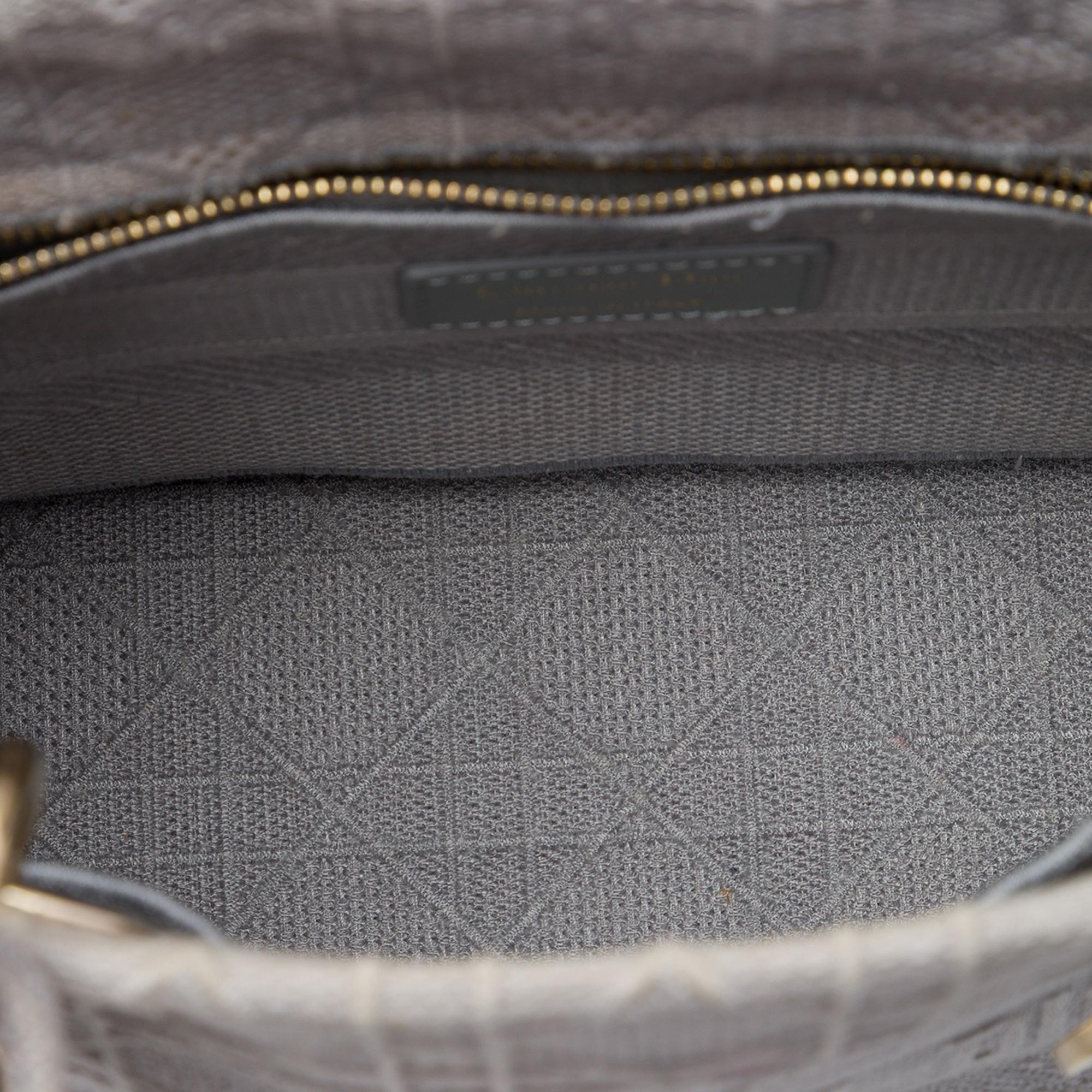 Dior Medium Embroidered Canvas Cannage Lady D Lite