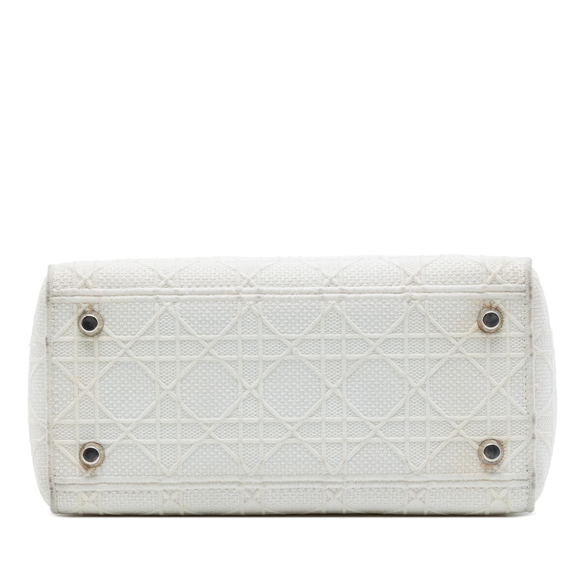 Dior Medium Embroidered Canvas Cannage Lady D Lite