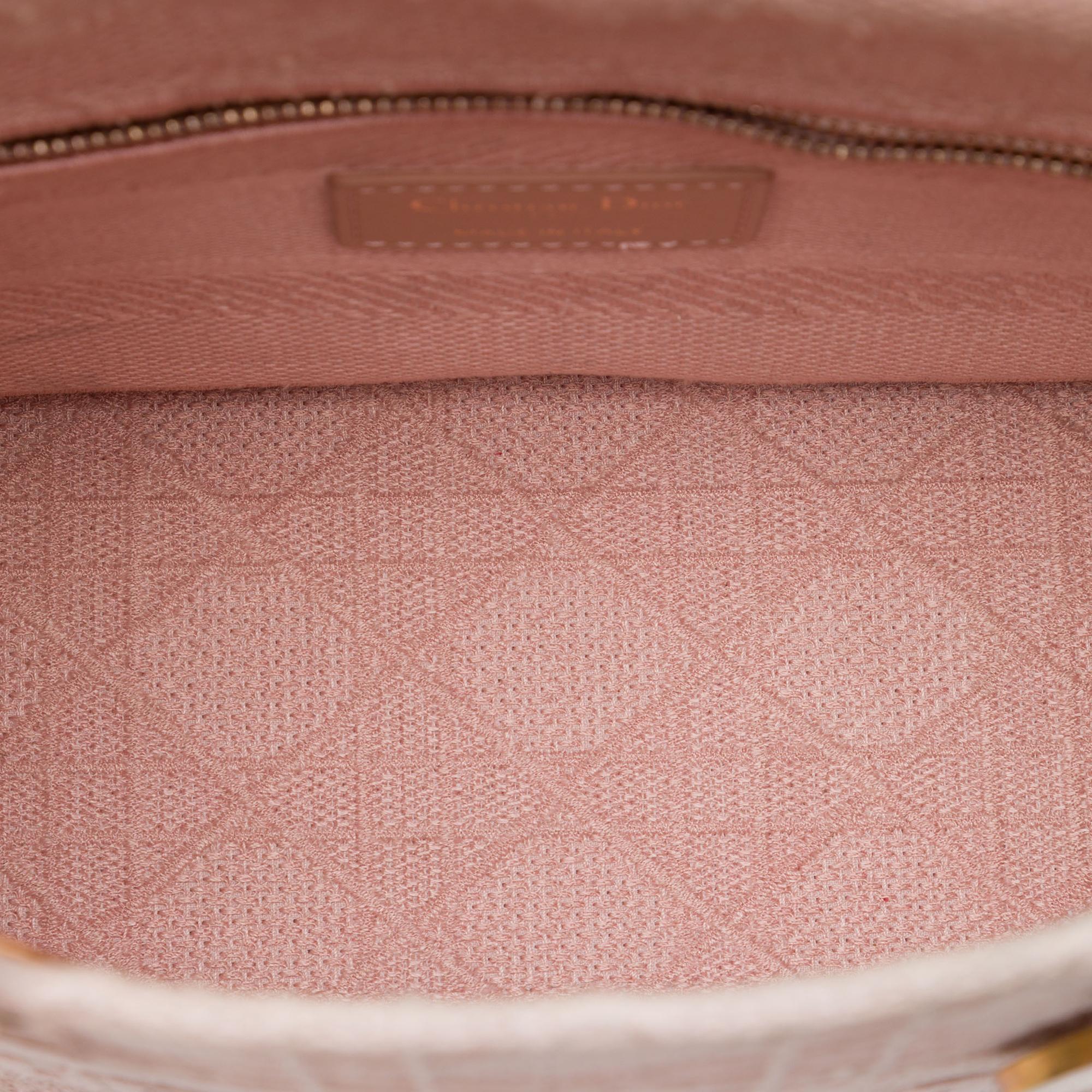 Dior Medium Embroidered Canvas Cannage Lady D Lite