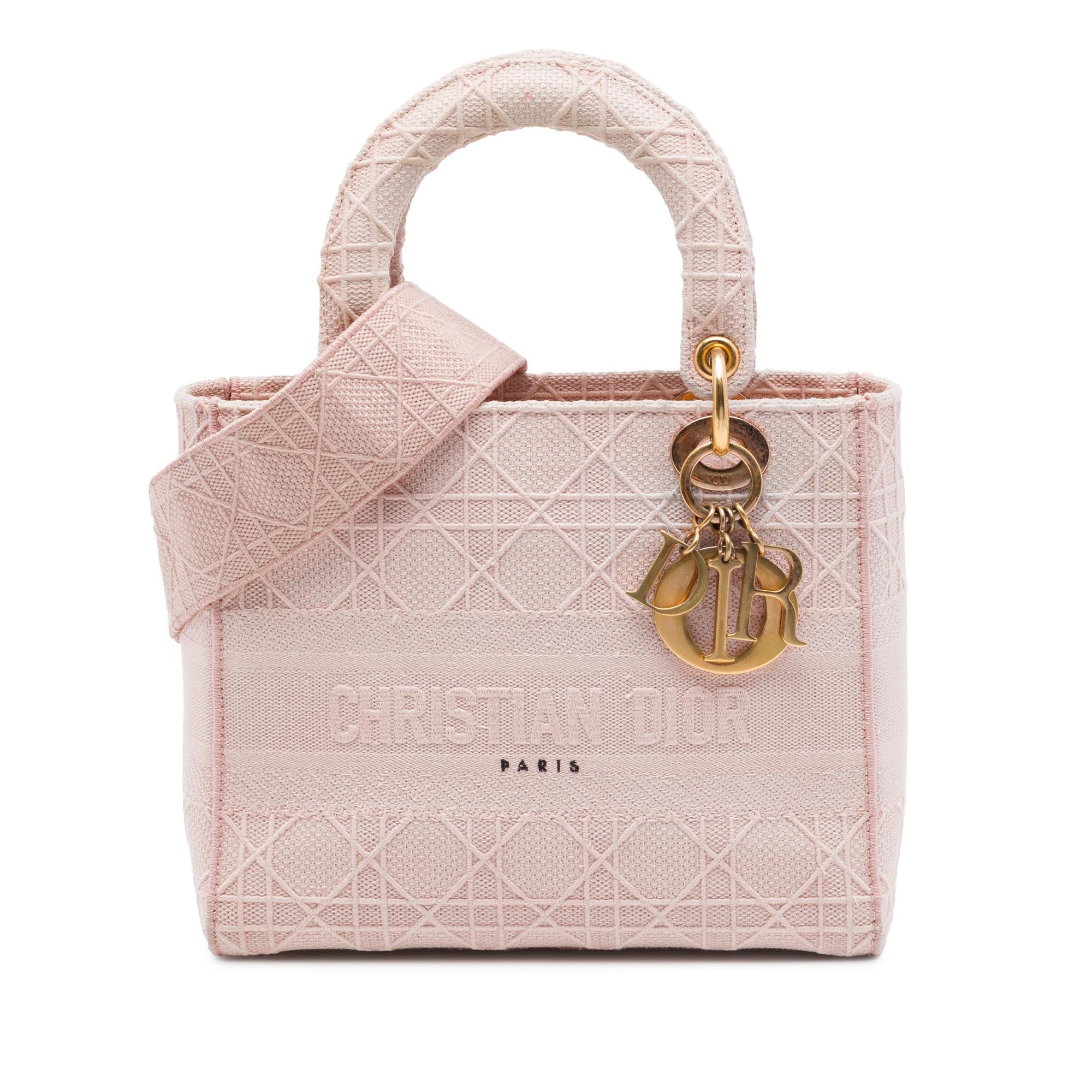 Dior Medium Embroidered Canvas Cannage Lady D Lite