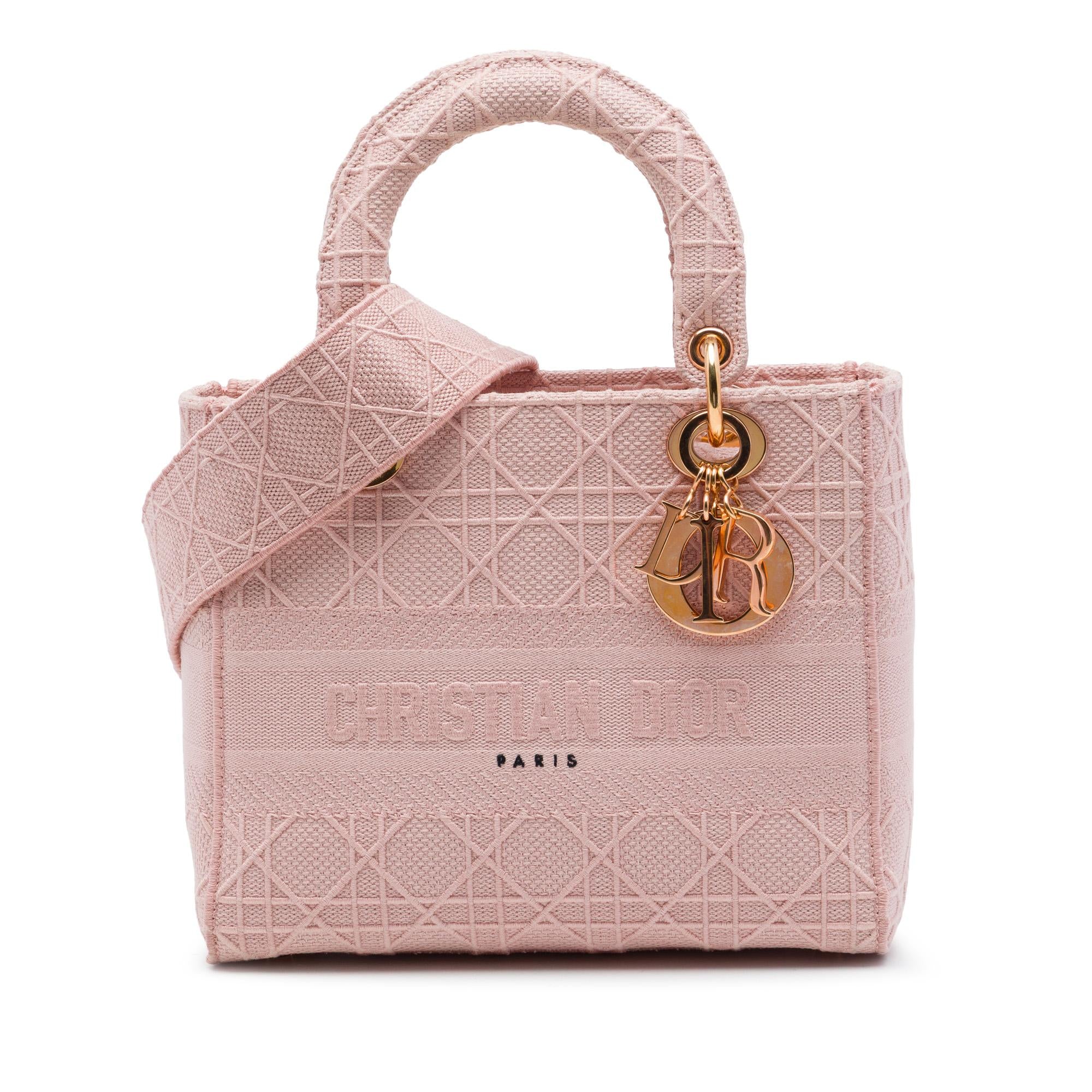 Dior Medium Embroidered Canvas Cannage Lady D Lite