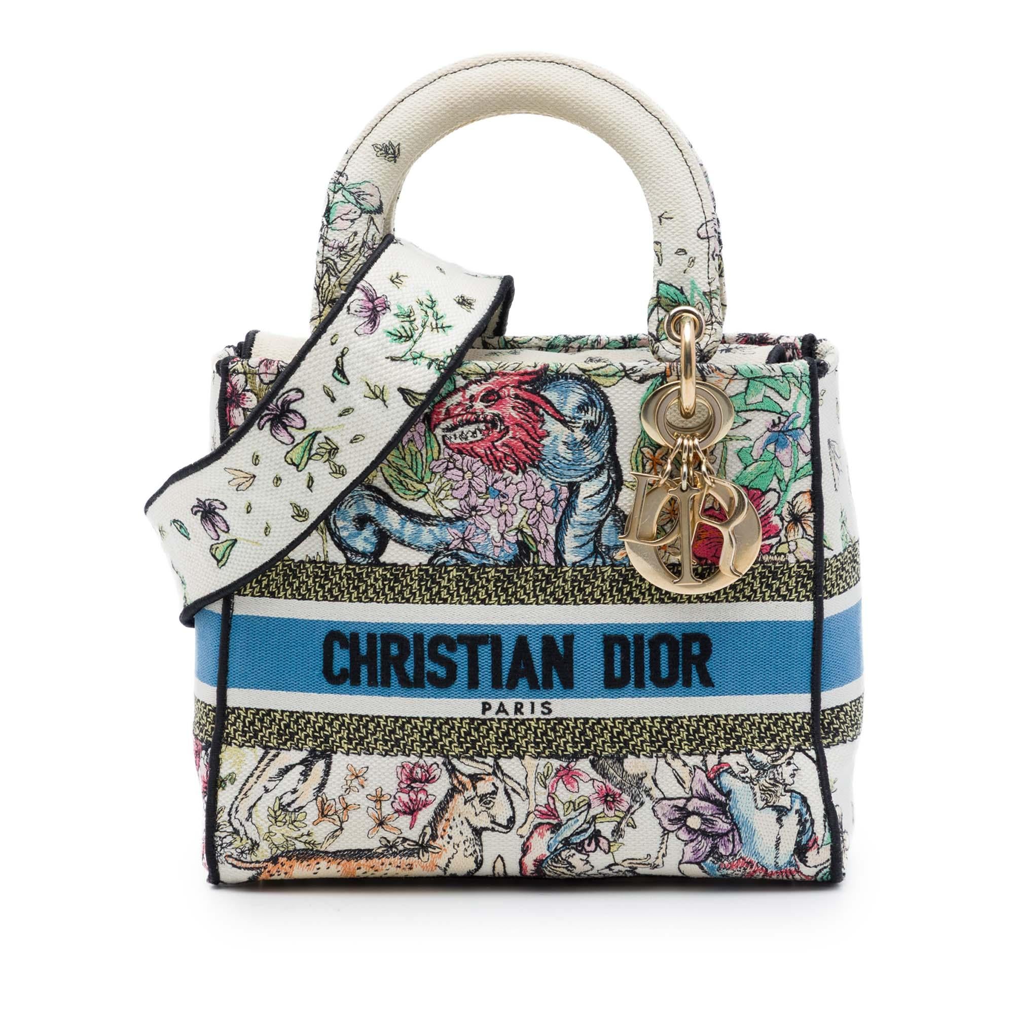 Dior Medium Embroidered Canvas D Constellation Lady D Lite