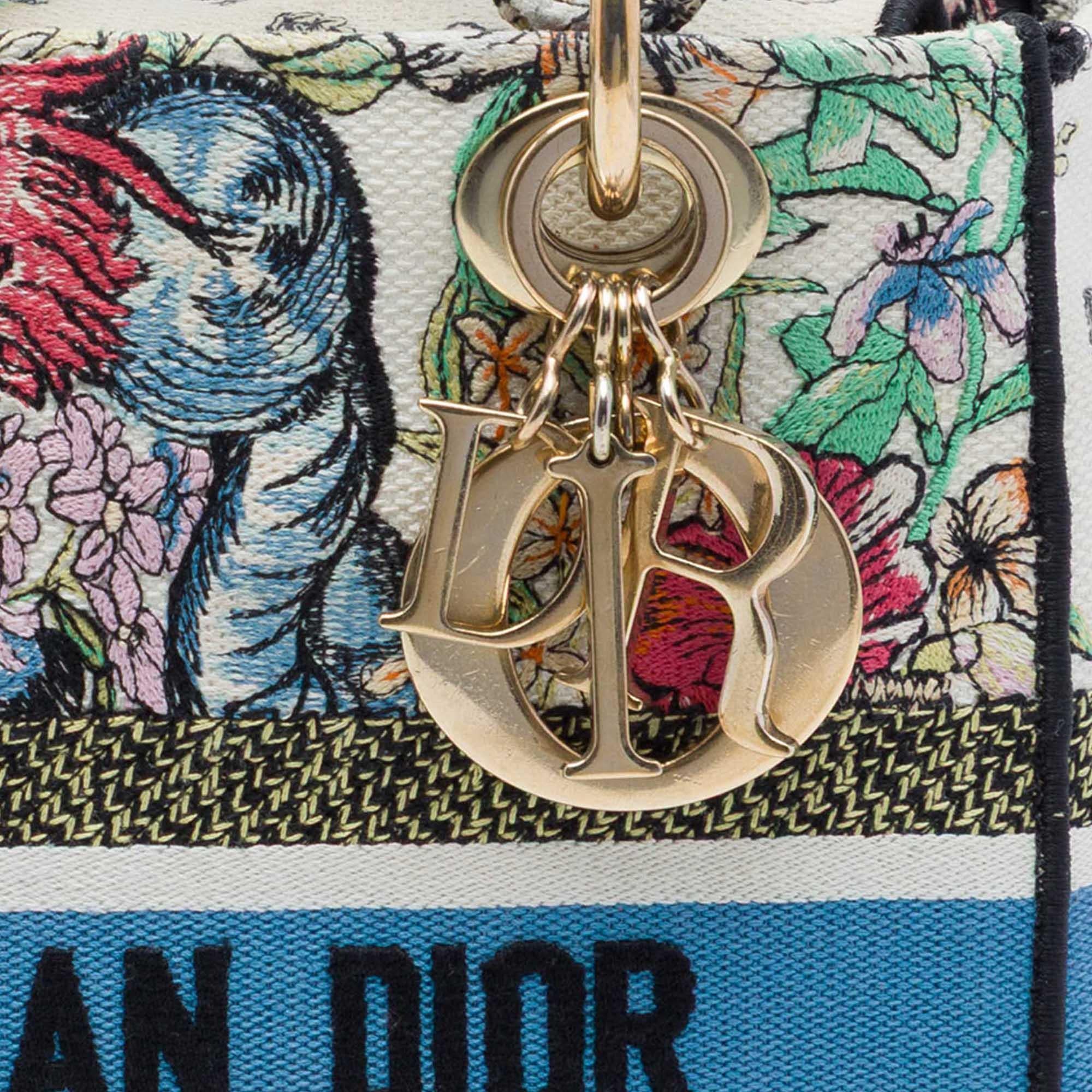 Dior Medium Embroidered Canvas D Constellation Lady D Lite