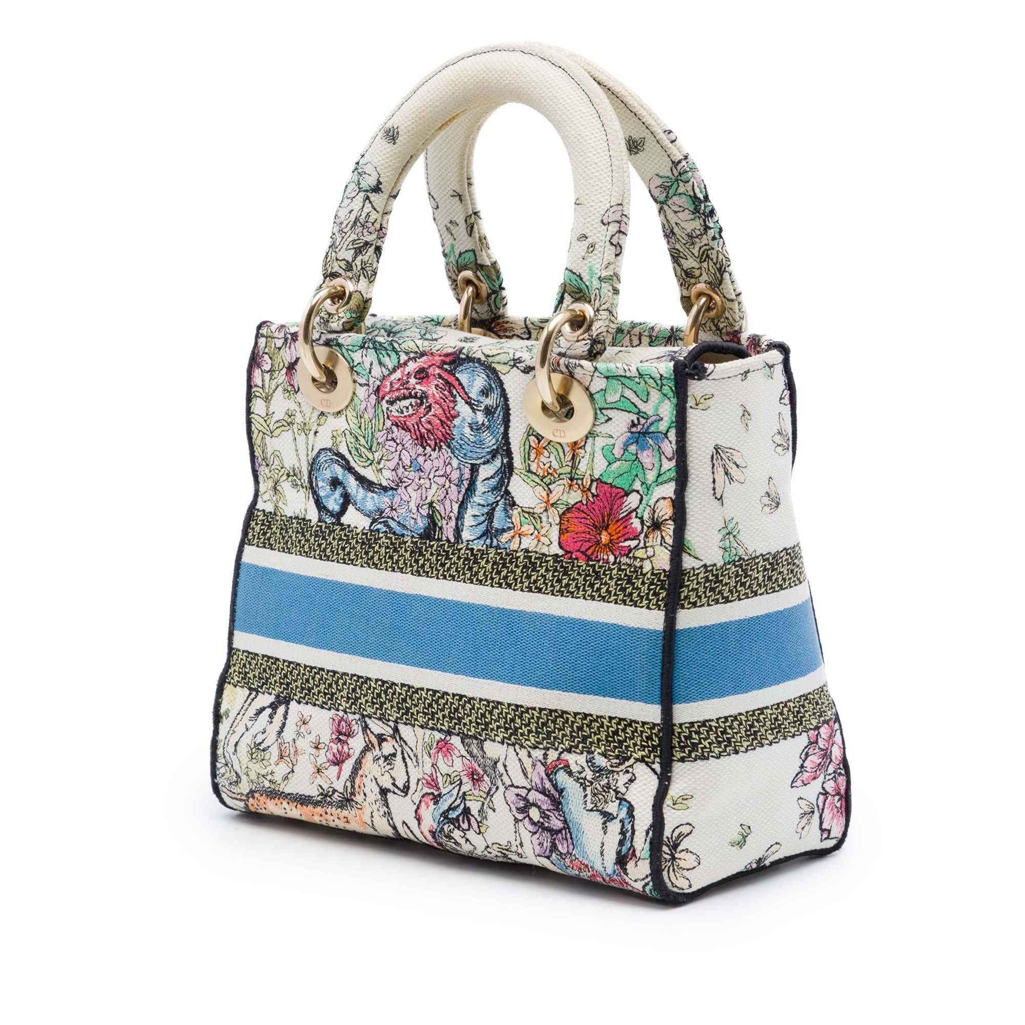 Dior Medium Embroidered Canvas D Constellation Lady D Lite