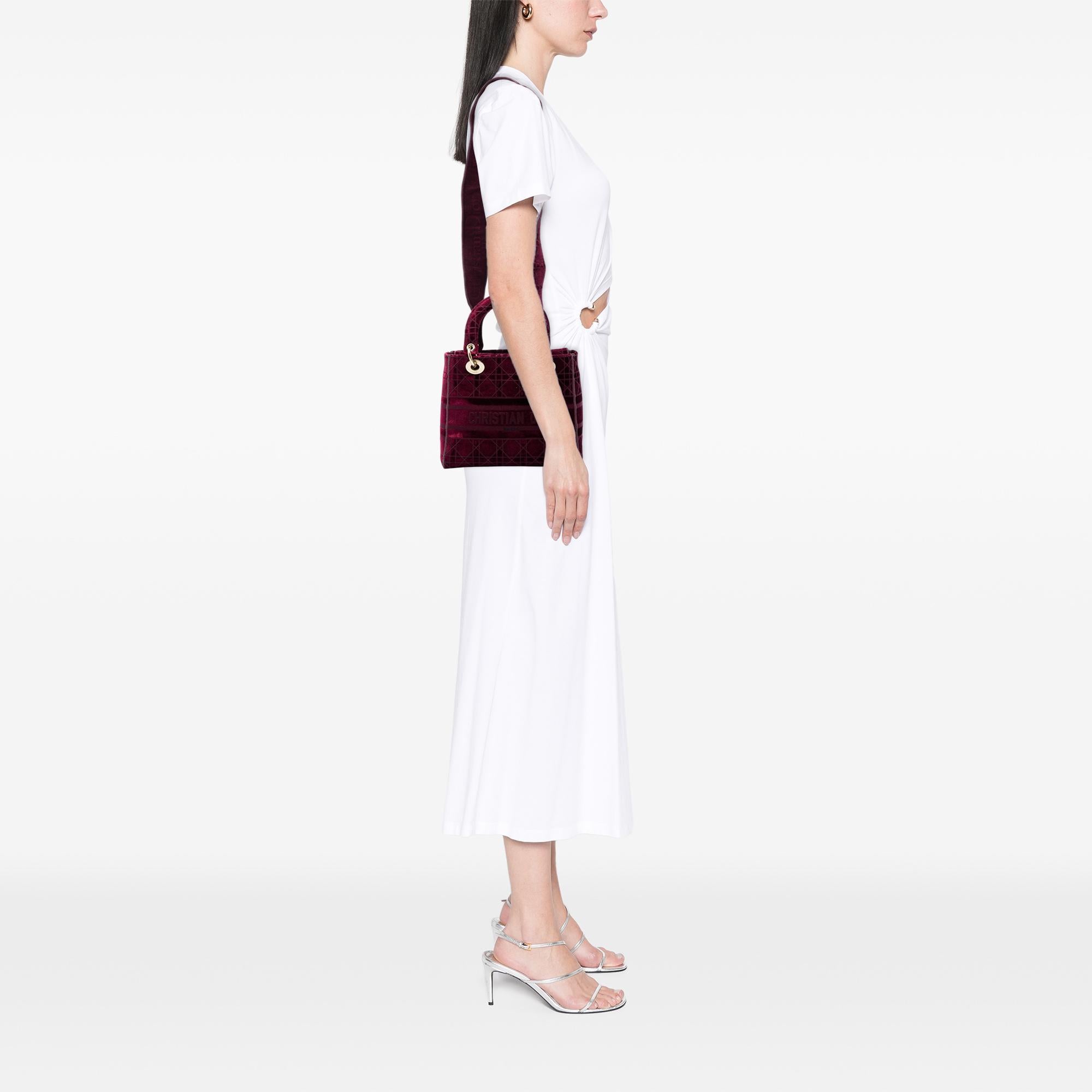 Dior Medium Embroidered Velvet Cannage Lady D Lite