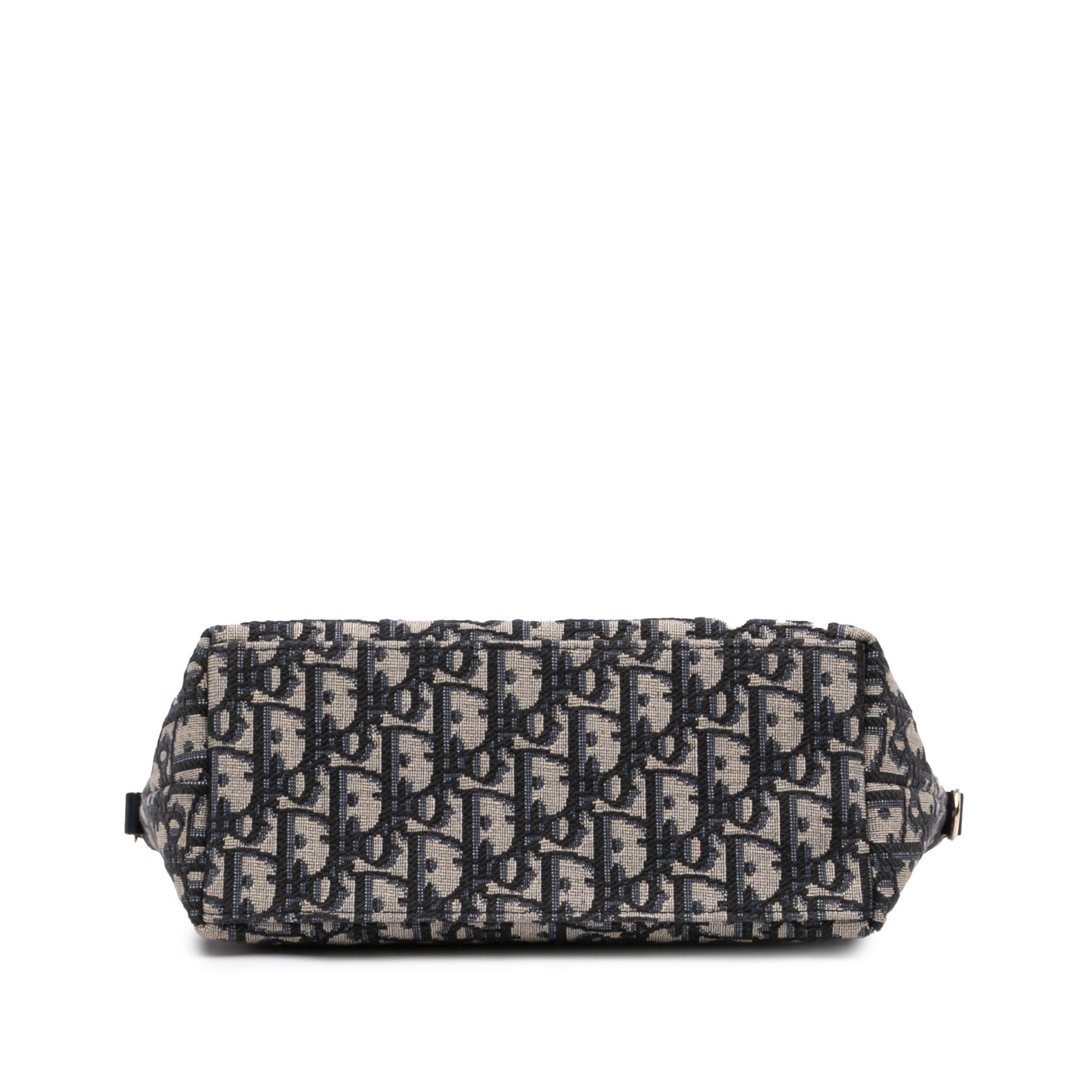 Dior Medium Oblique Canvas Diortravel Nomad Pouch