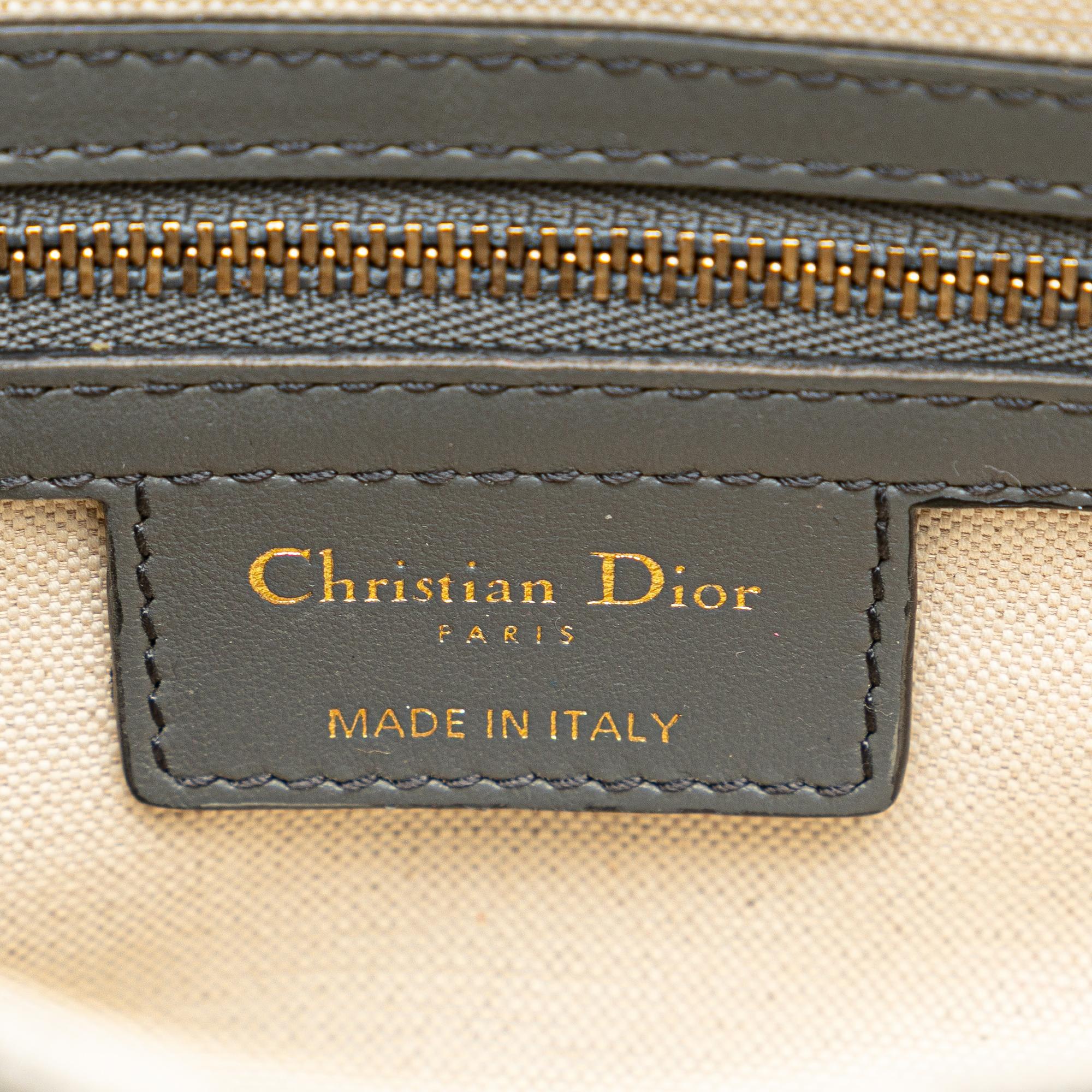 Dior Medium Toile De Jouy Saddle (SHG-zoCJVR)