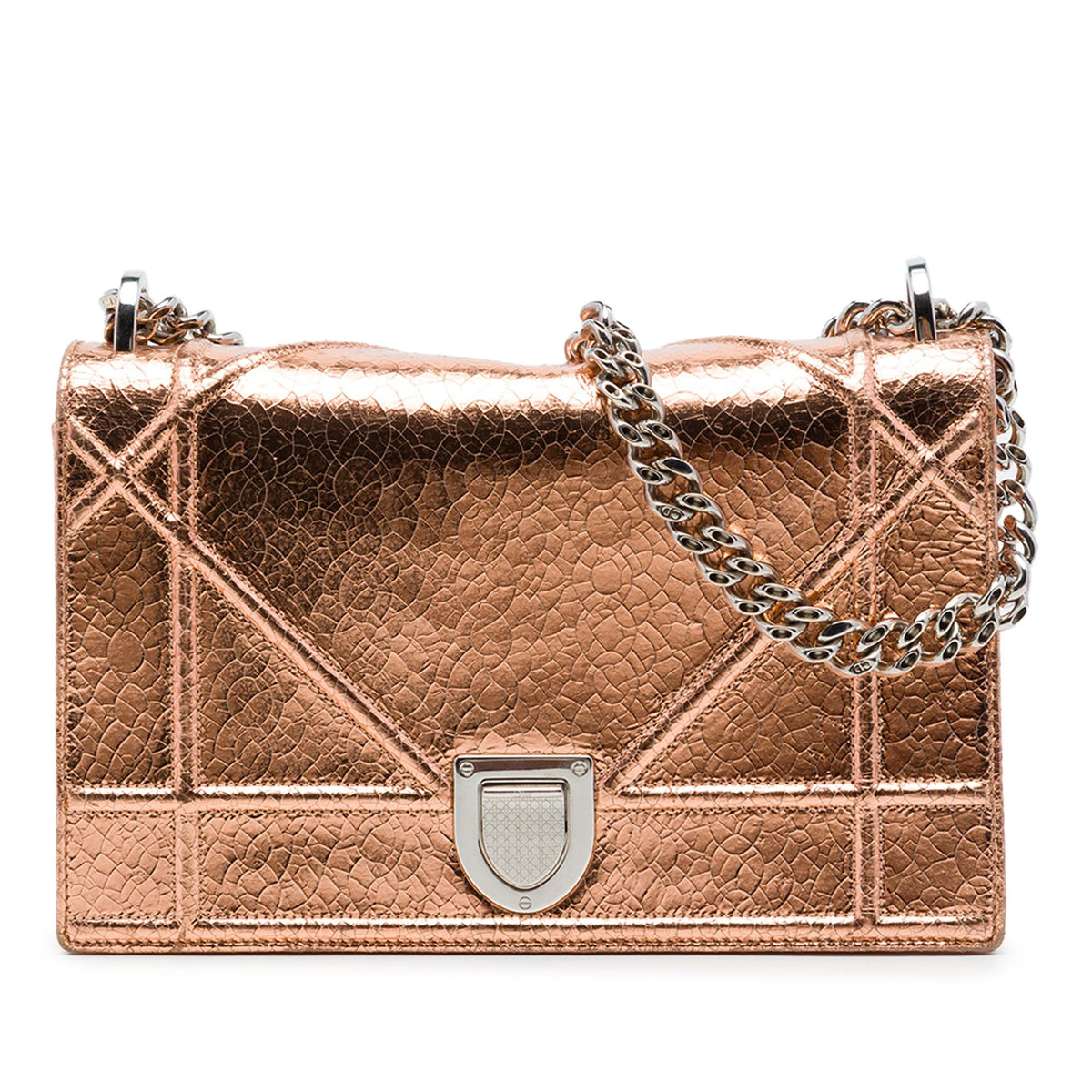Dior Metallic Ceramic Effect Deerskin Diorama Wallet on Chain