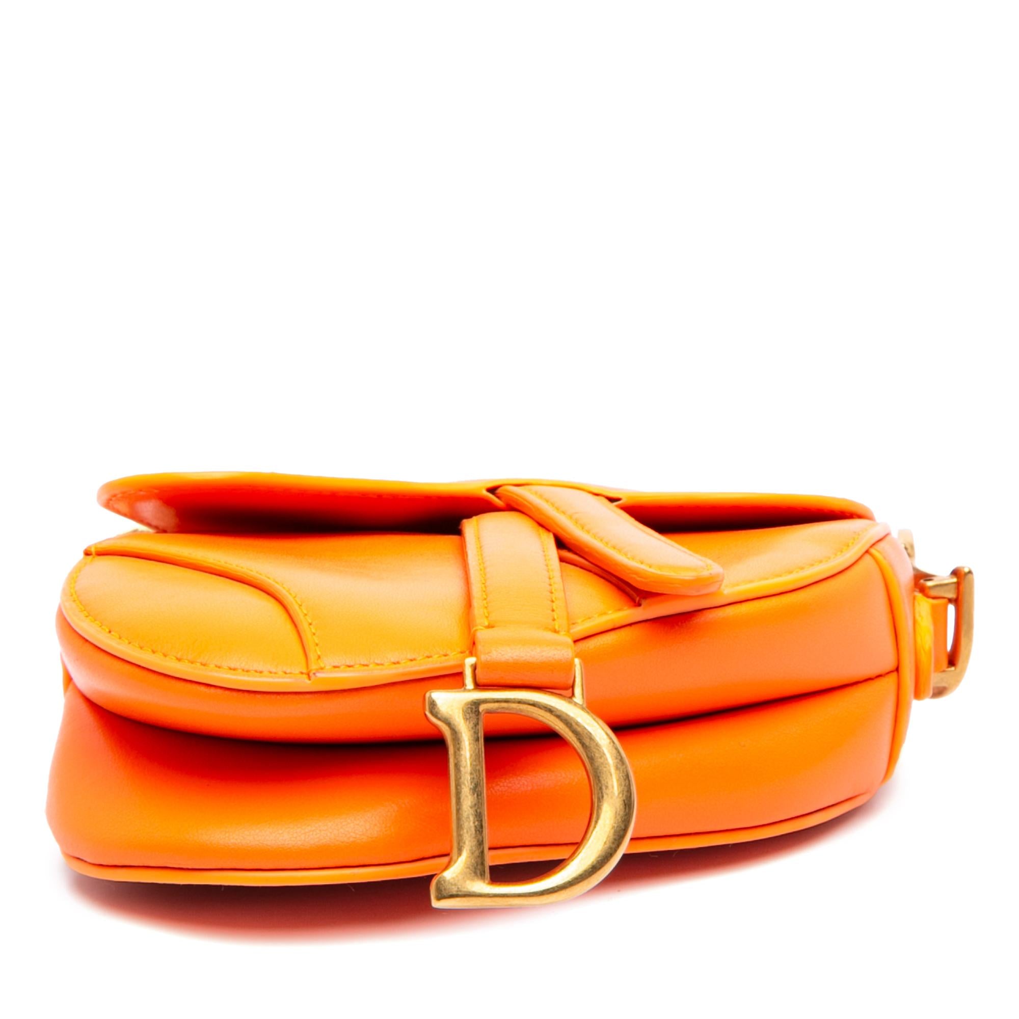 Dior Micro Goatskin Saddle Bag