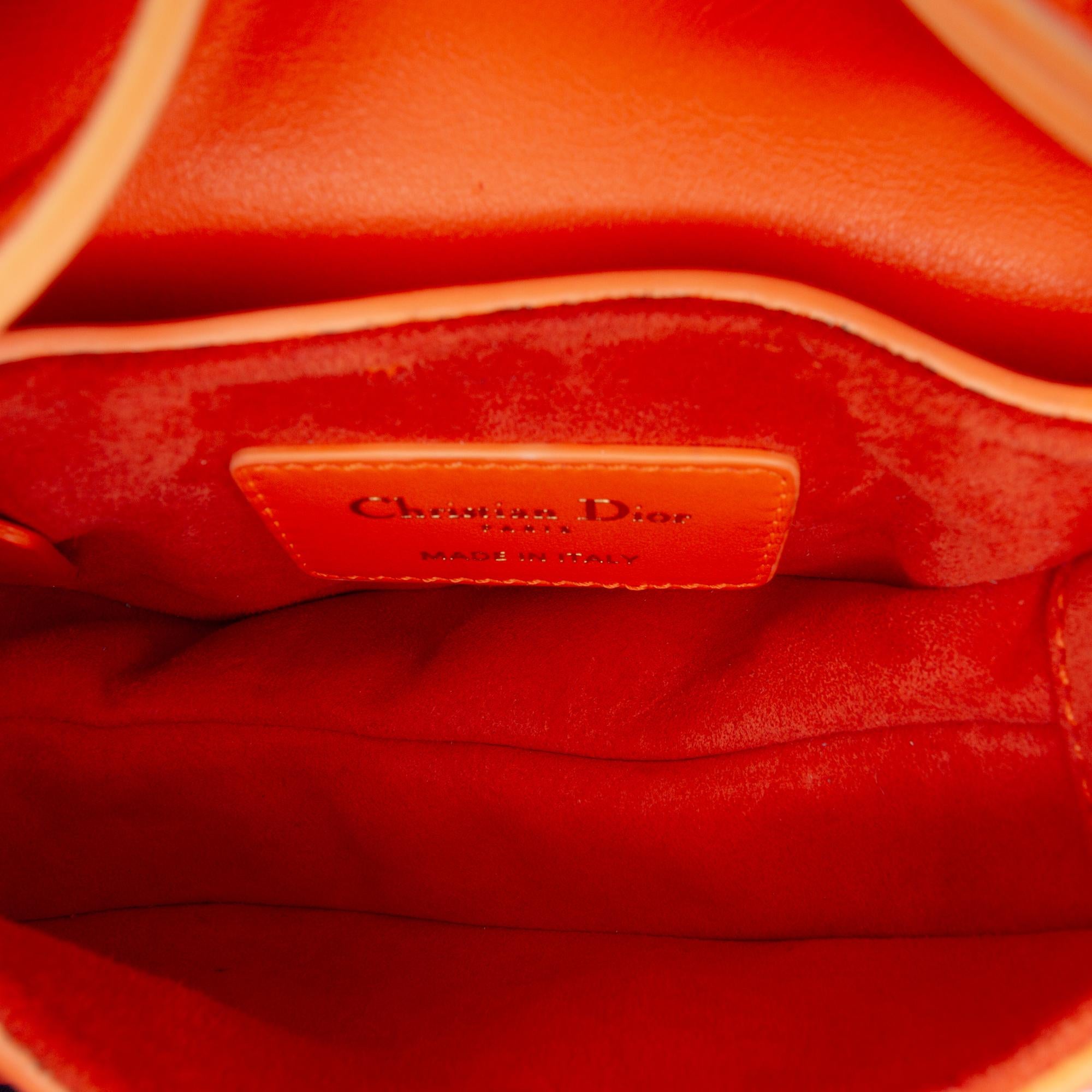 Dior Micro Goatskin Saddle Bag