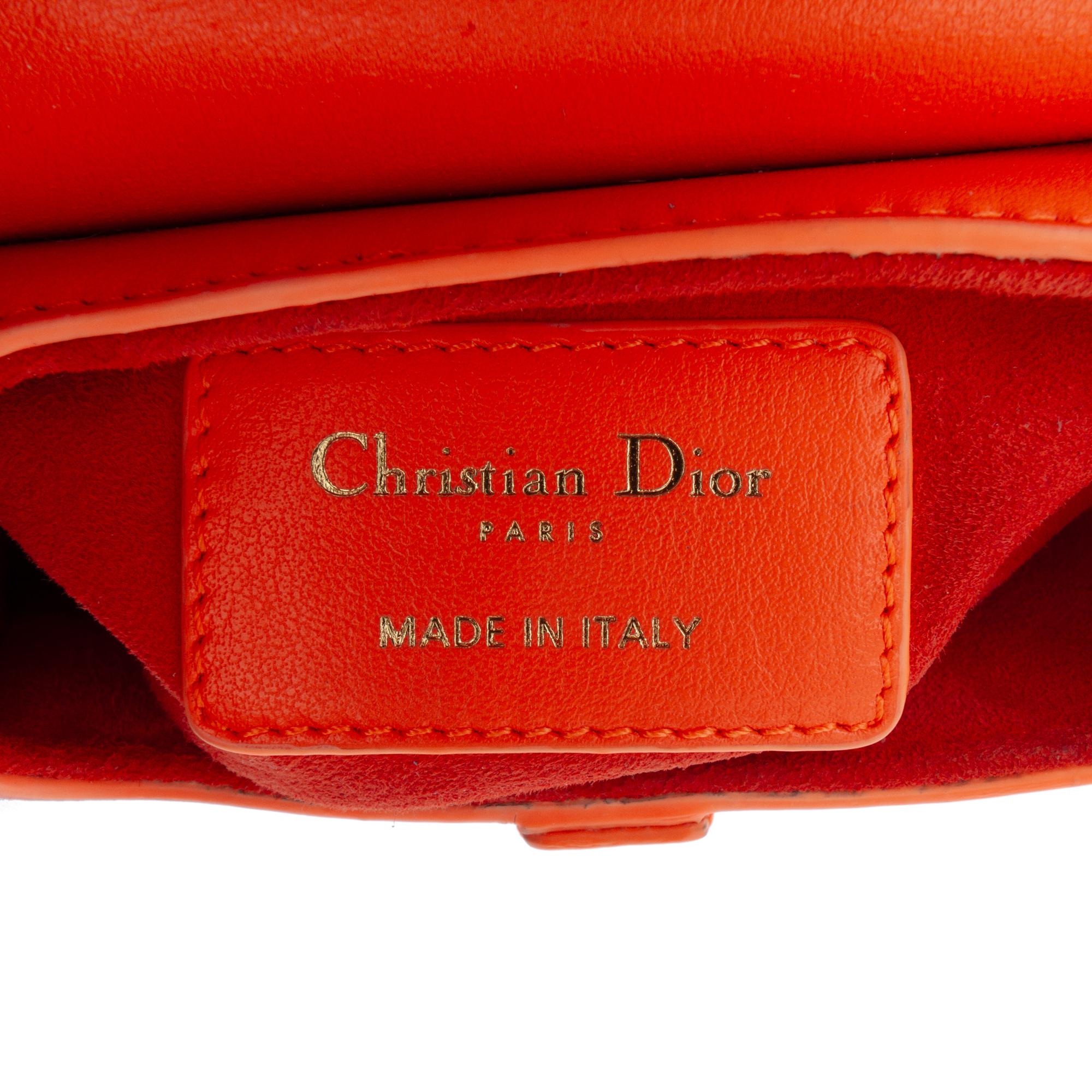 Dior Micro Goatskin Saddle Bag