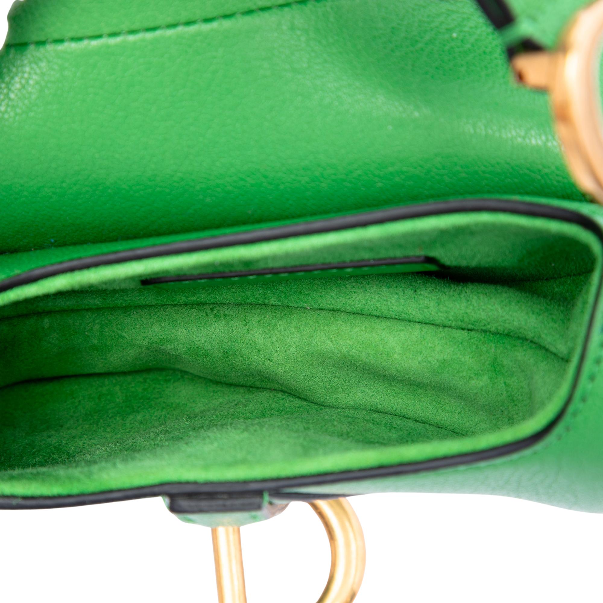 Dior Micro Goatskin Saddle Bag