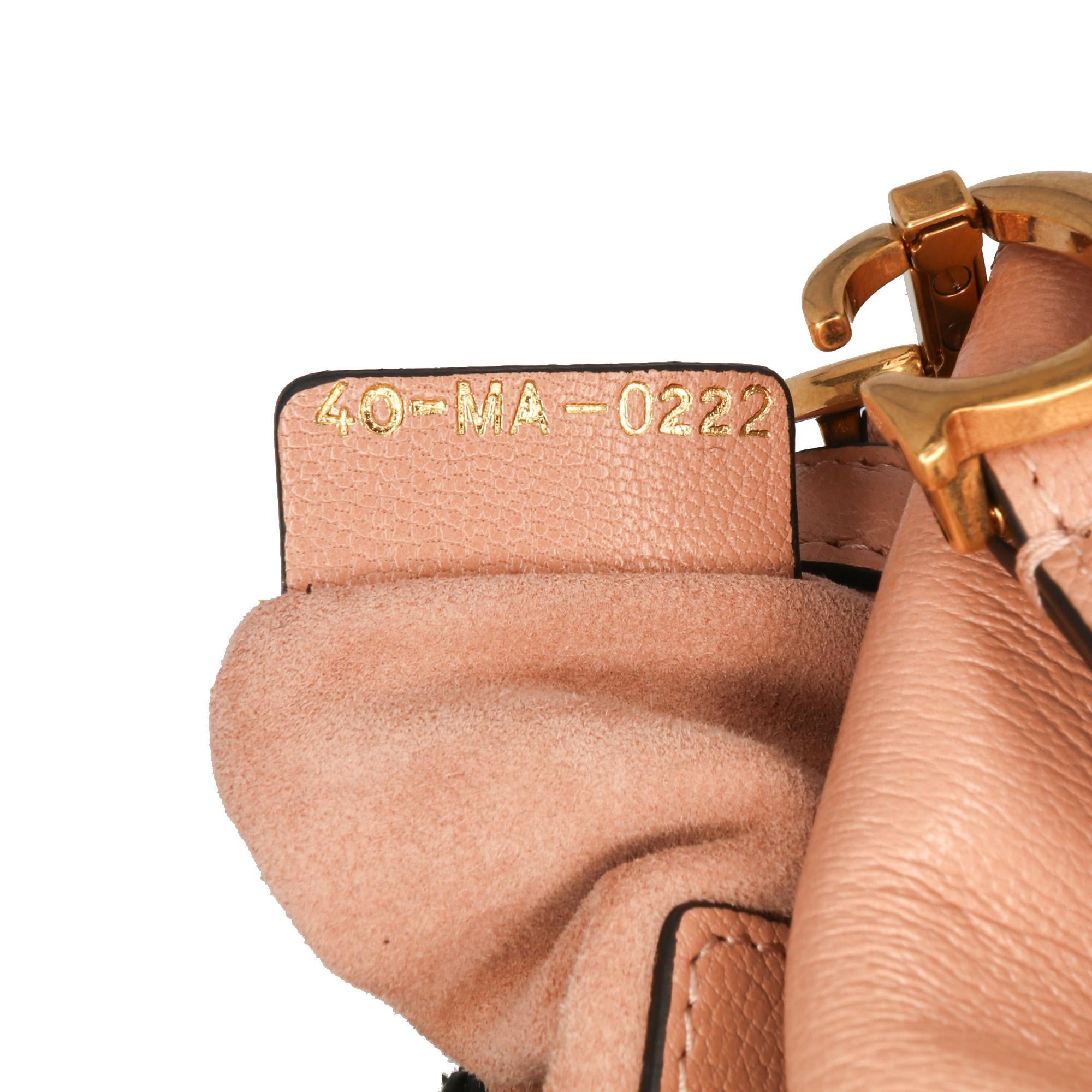 Dior Micro Goatskin Saddle