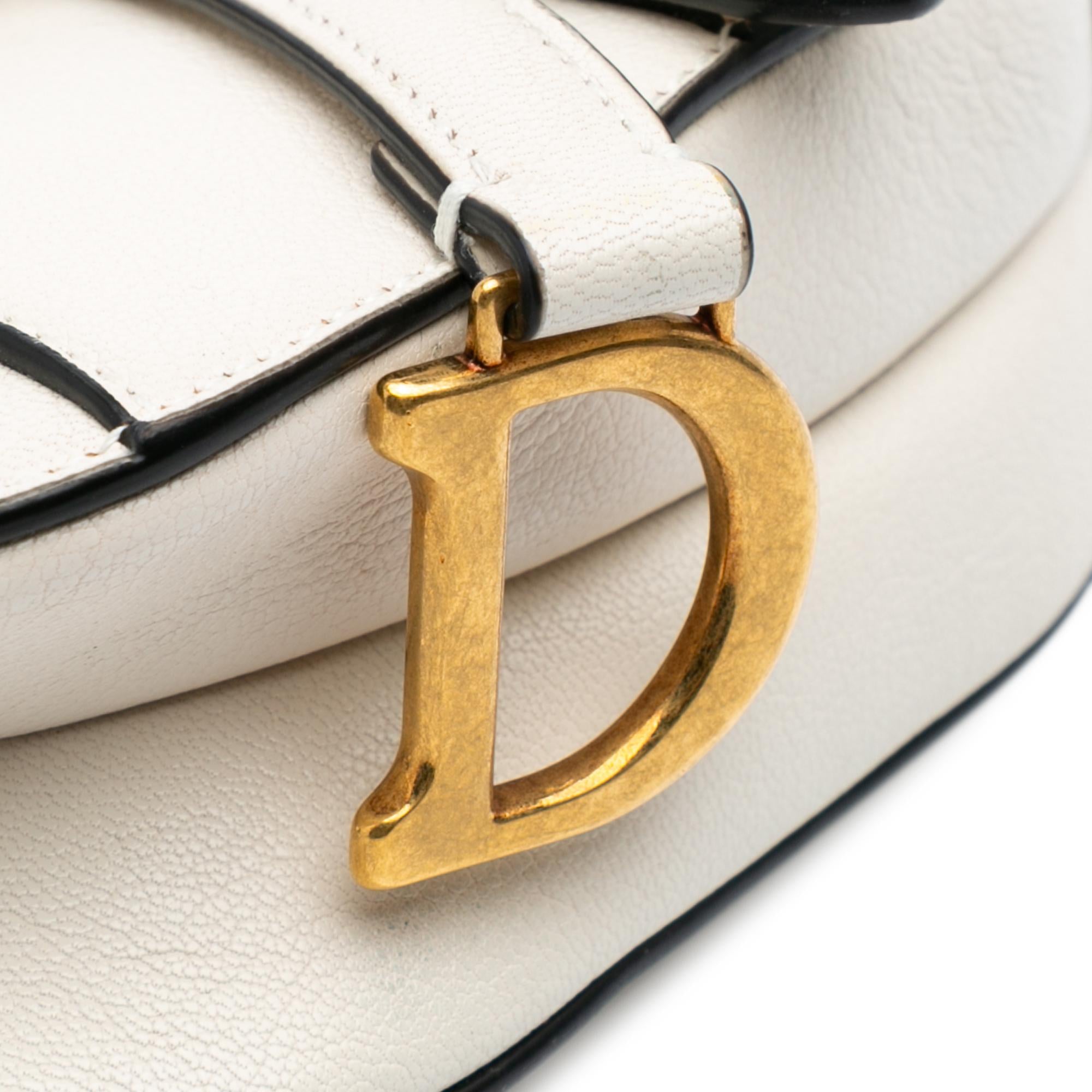 Dior Micro Goatskin Saddle