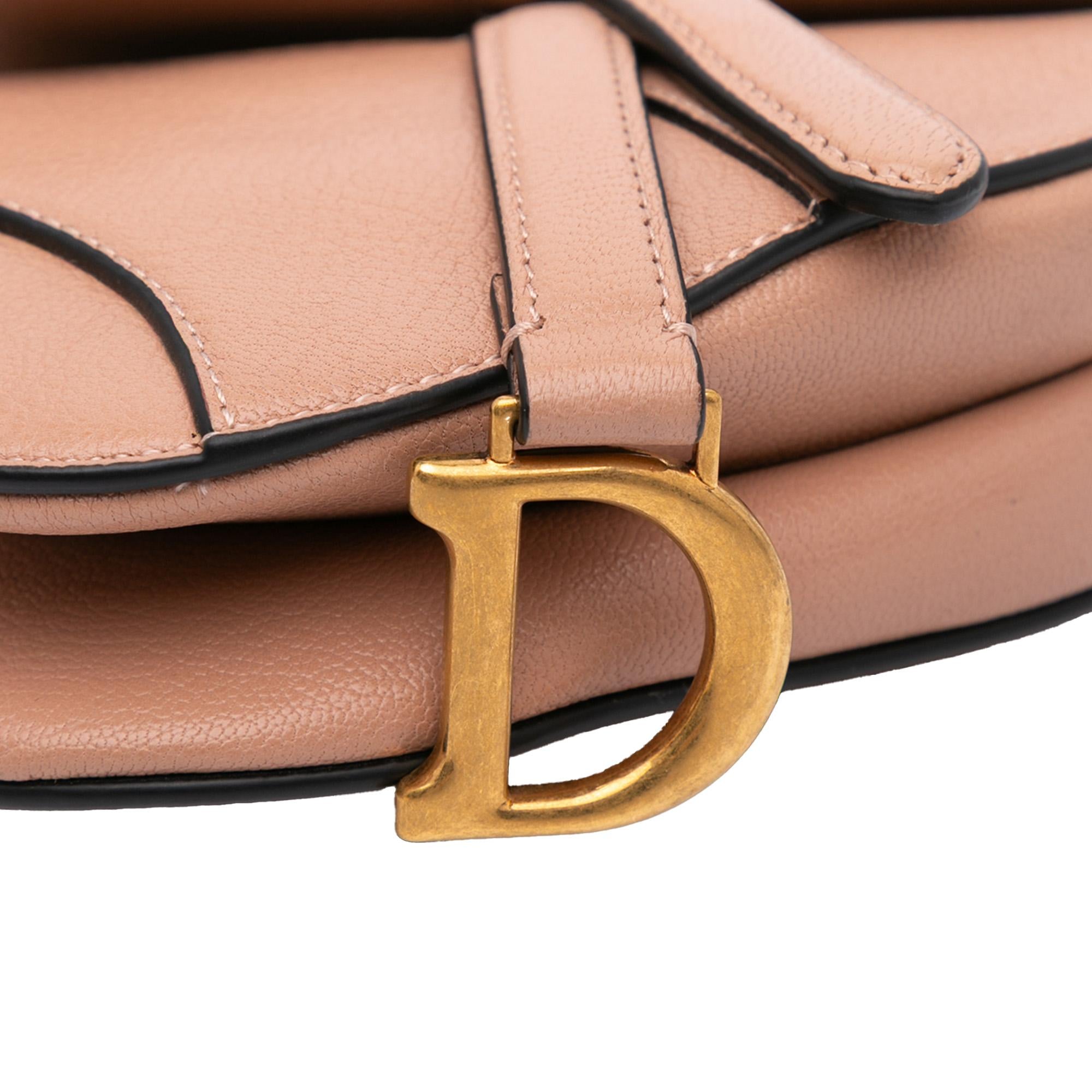 Dior Micro Goatskin Saddle