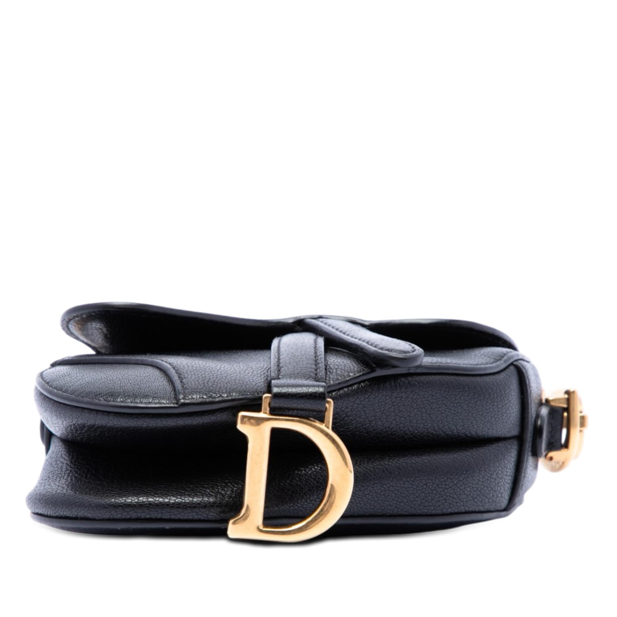 Dior Micro Goatskin Saddle