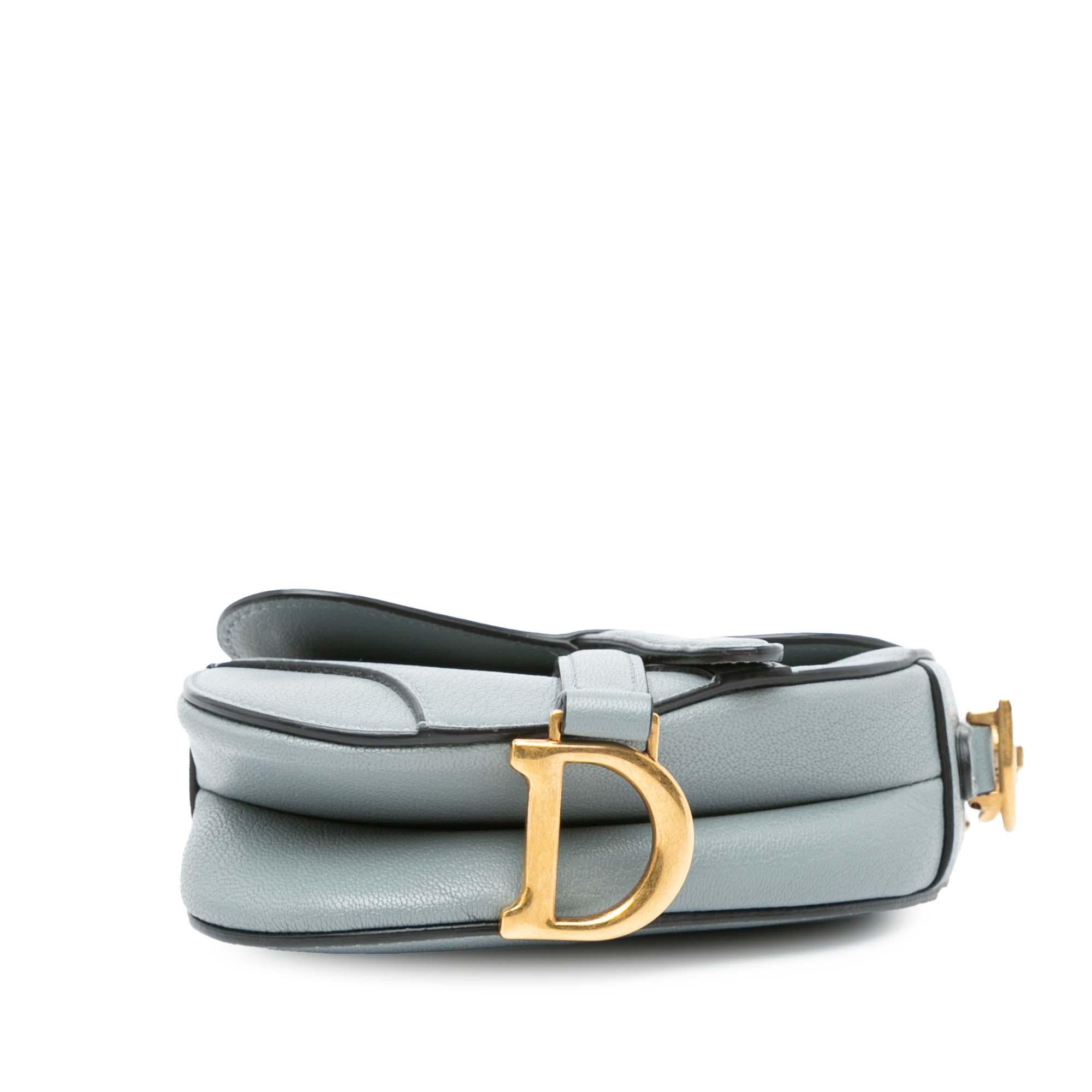 Dior Micro Leather Saddle