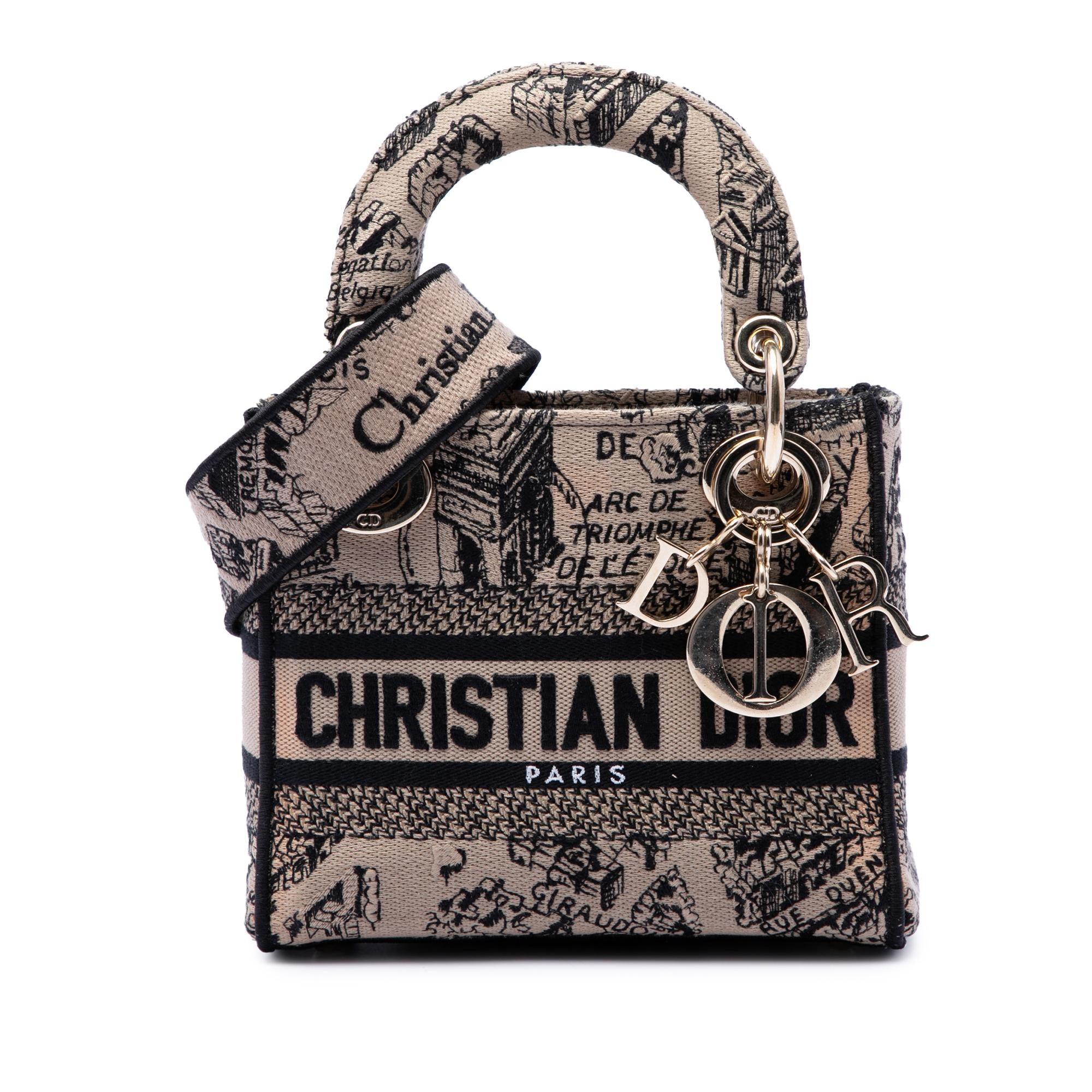 Dior Mini Embroidered Canvas Plan de Paris Lady D Lite