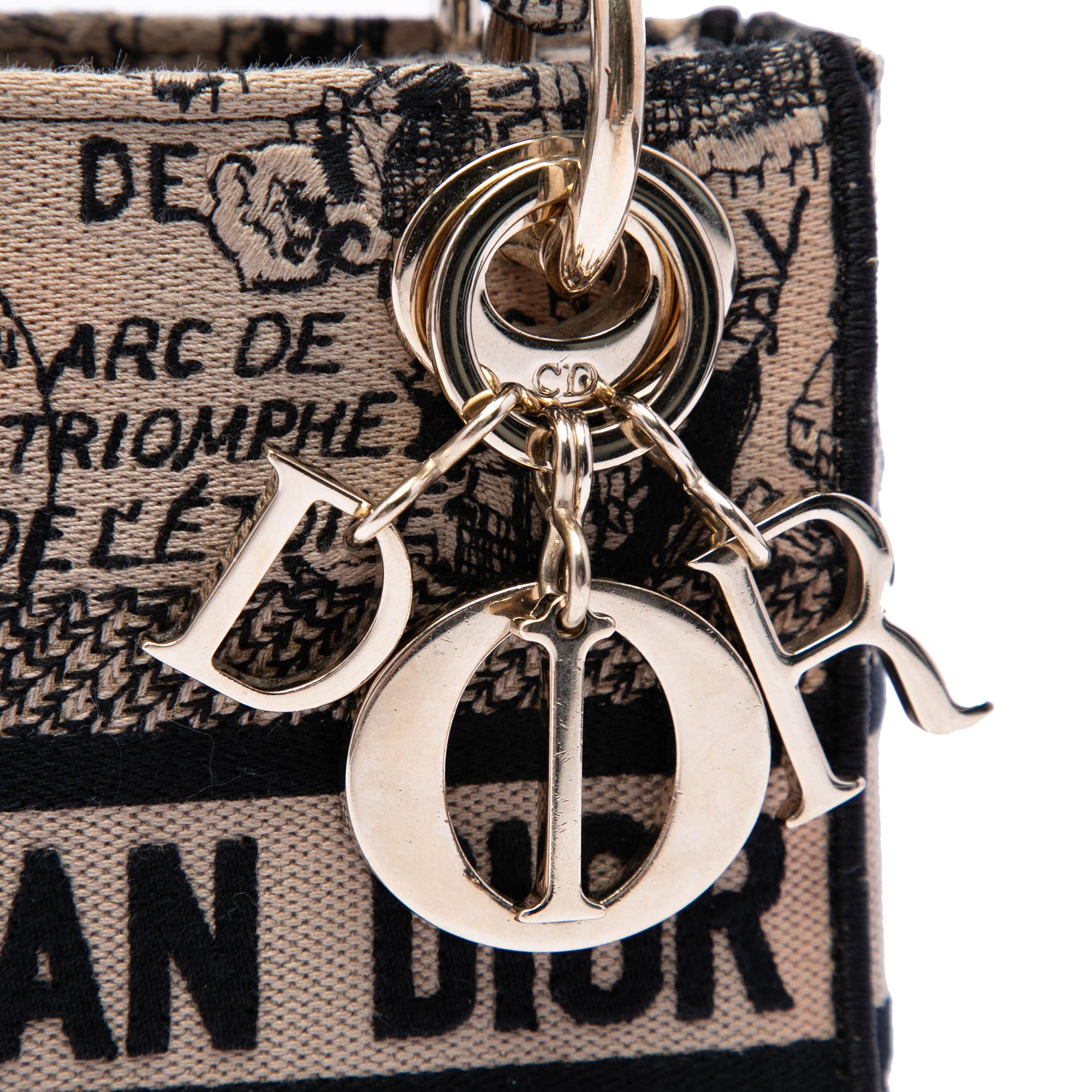 Dior Mini Embroidered Canvas Plan de Paris Lady D Lite