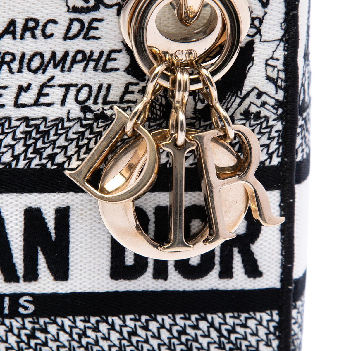 Dior Mini Embroidered Canvas Plan de Paris Lady D Lite