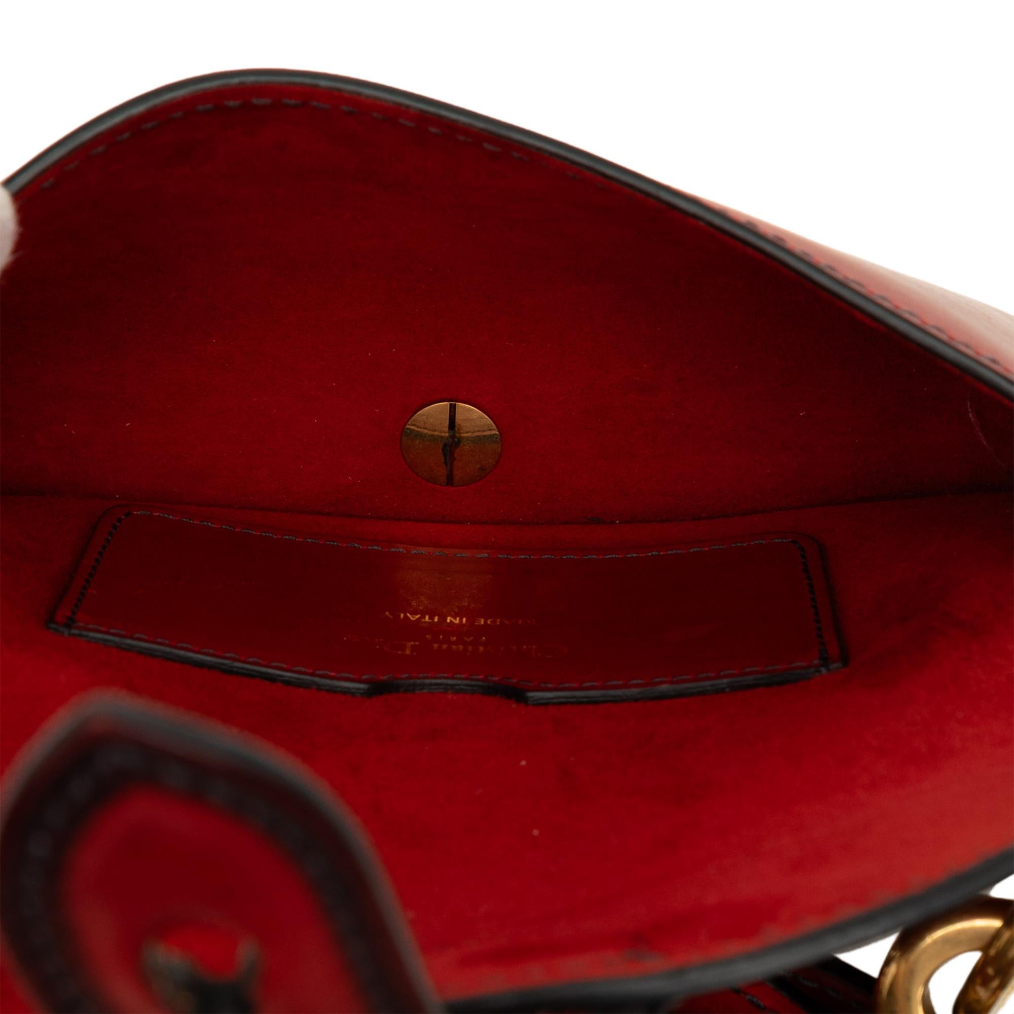 Dior Mini Leather D Bee Saddle Bag