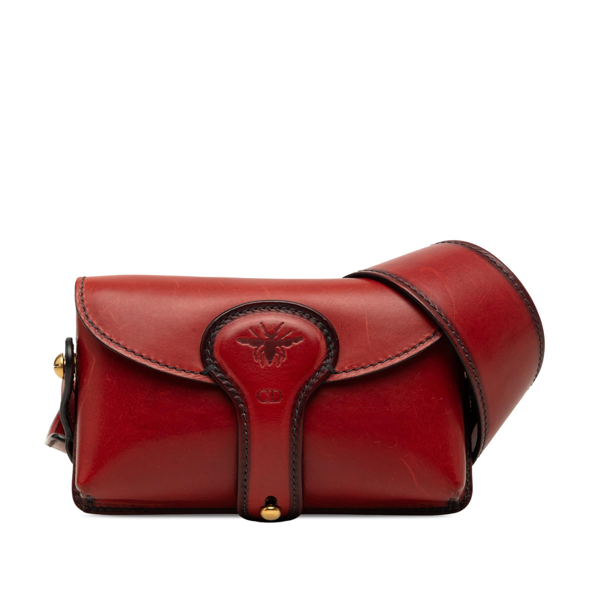 Dior Mini Leather D Bee Saddle Bag