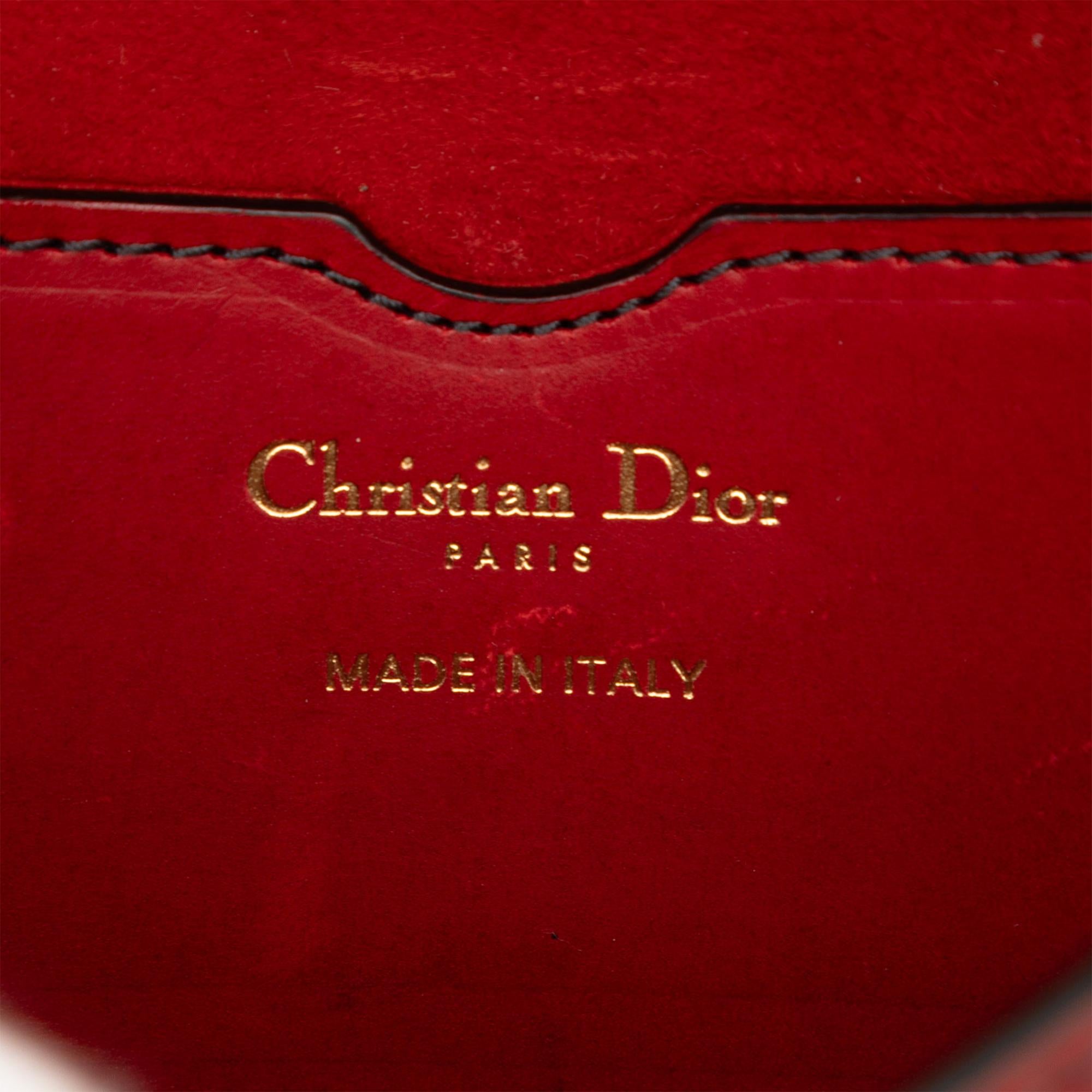 Dior Mini Leather D Bee Saddle Bag