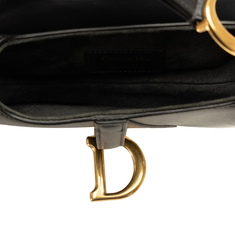 Dior Mini Saddle (SHG-PRxf0a)