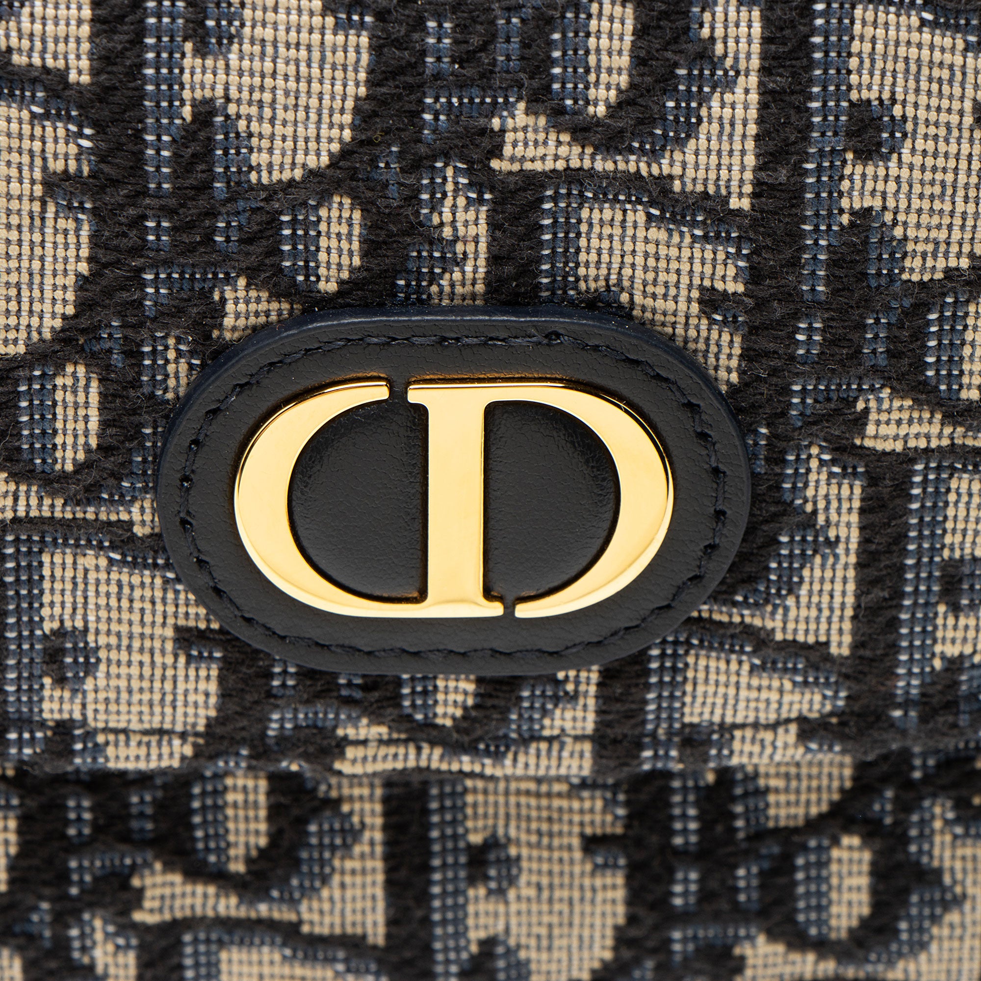 Dior Oblique 30 Montaigne D-Vine Pouch with Chain - FINAL SALE