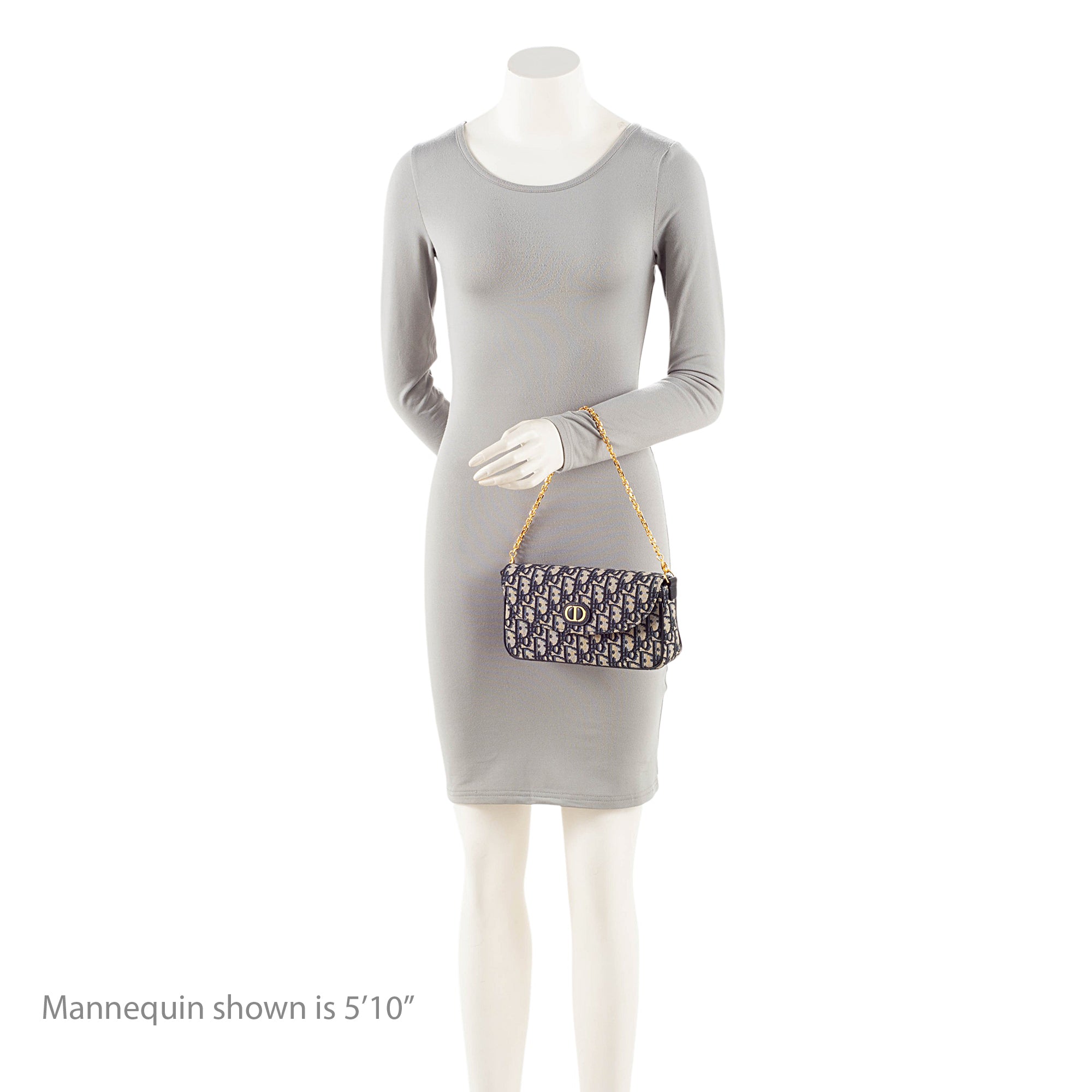 Dior Oblique 30 Montaigne D-Vine Pouch with Chain - FINAL SALE
