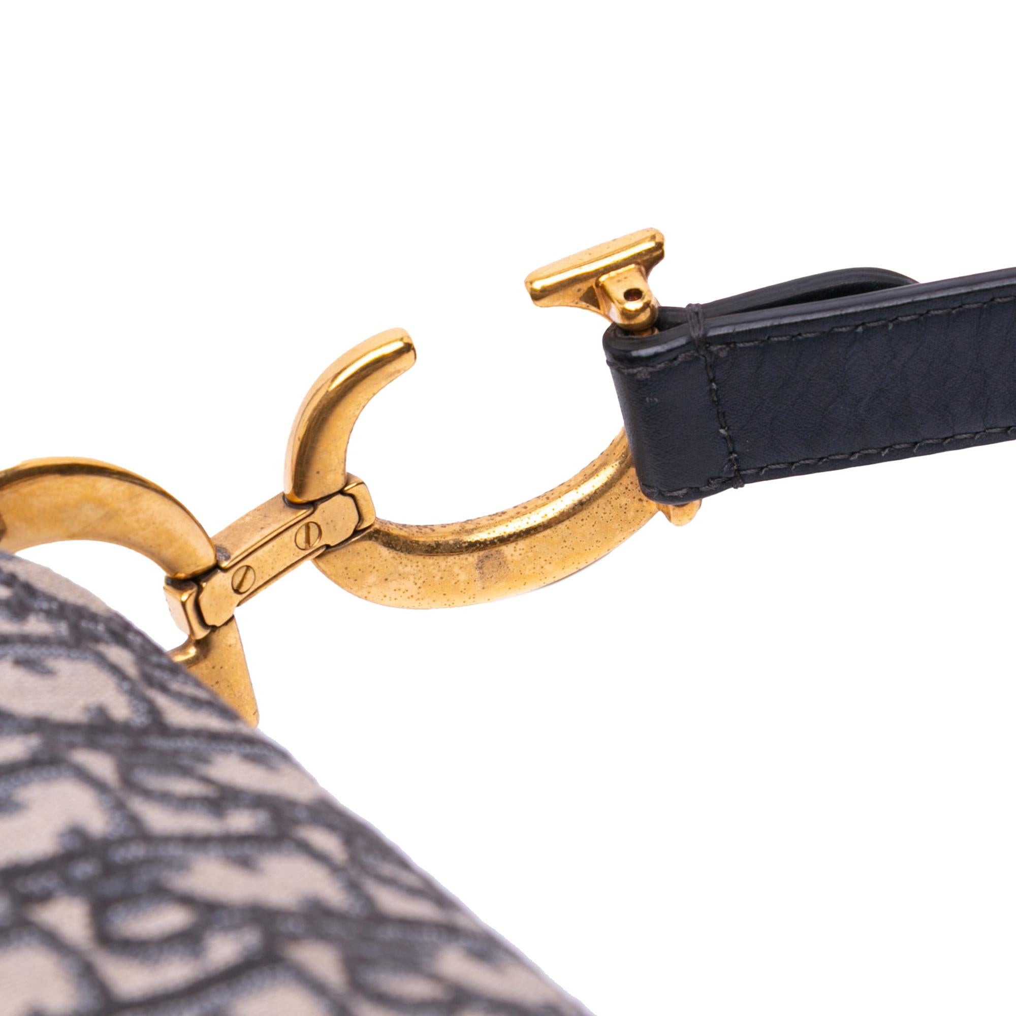 Dior Oblique Canvas Saddle Bag