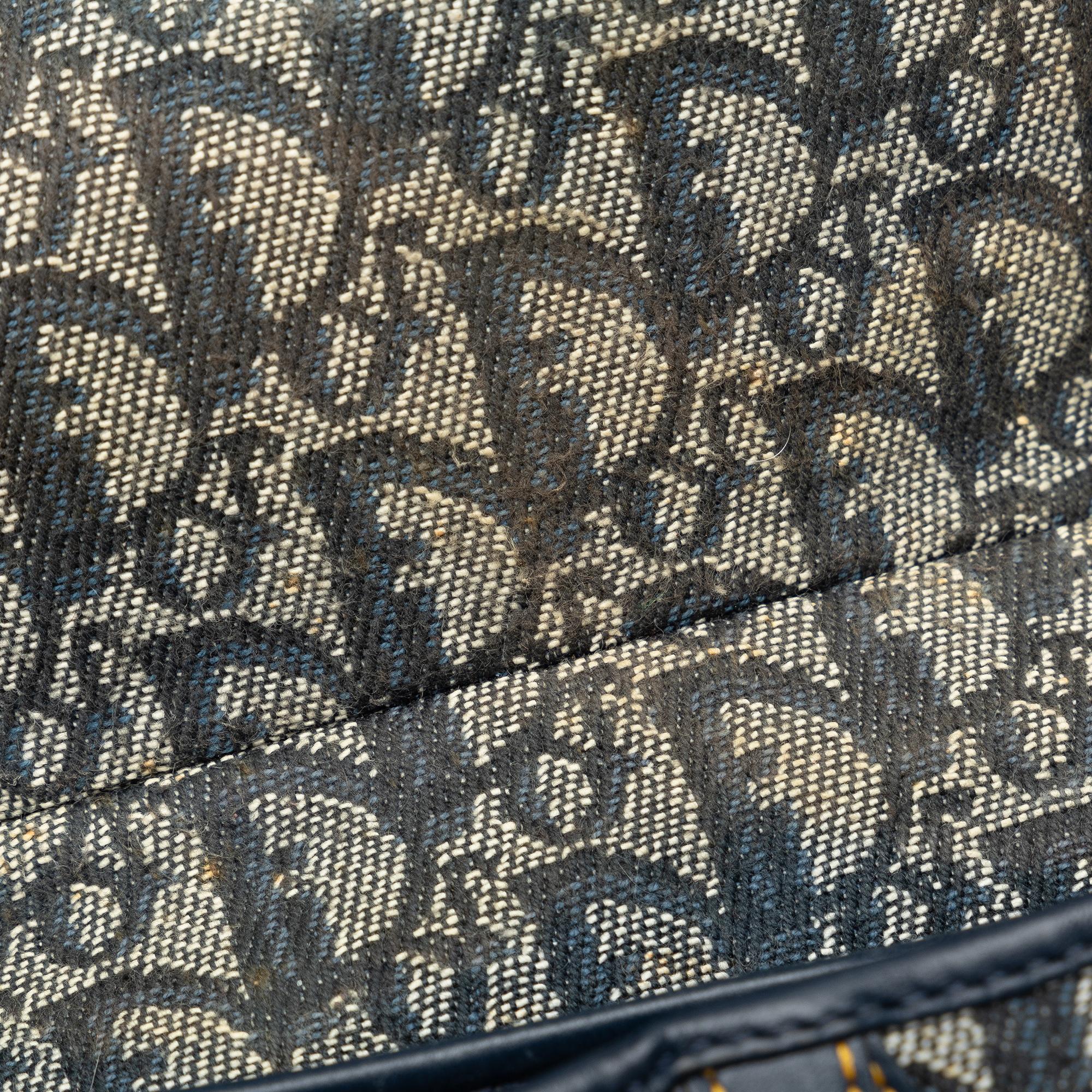 Dior Oblique Canvas Saddle (SHG-4xs9xj)