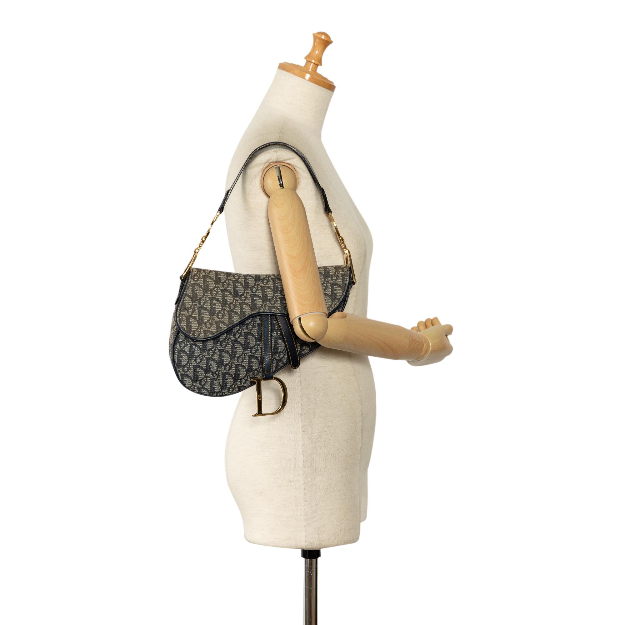 Dior Oblique Canvas Saddle (SHG-4xs9xj)